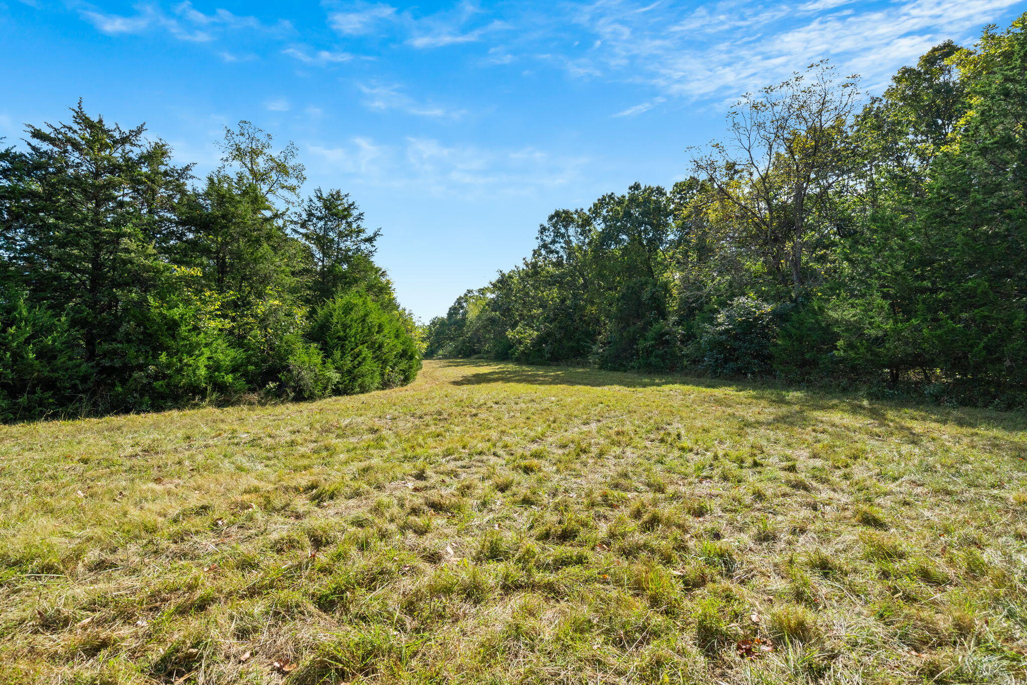 Photo 20 - Land for sale – 000  Bobcat   Rogersville, MO