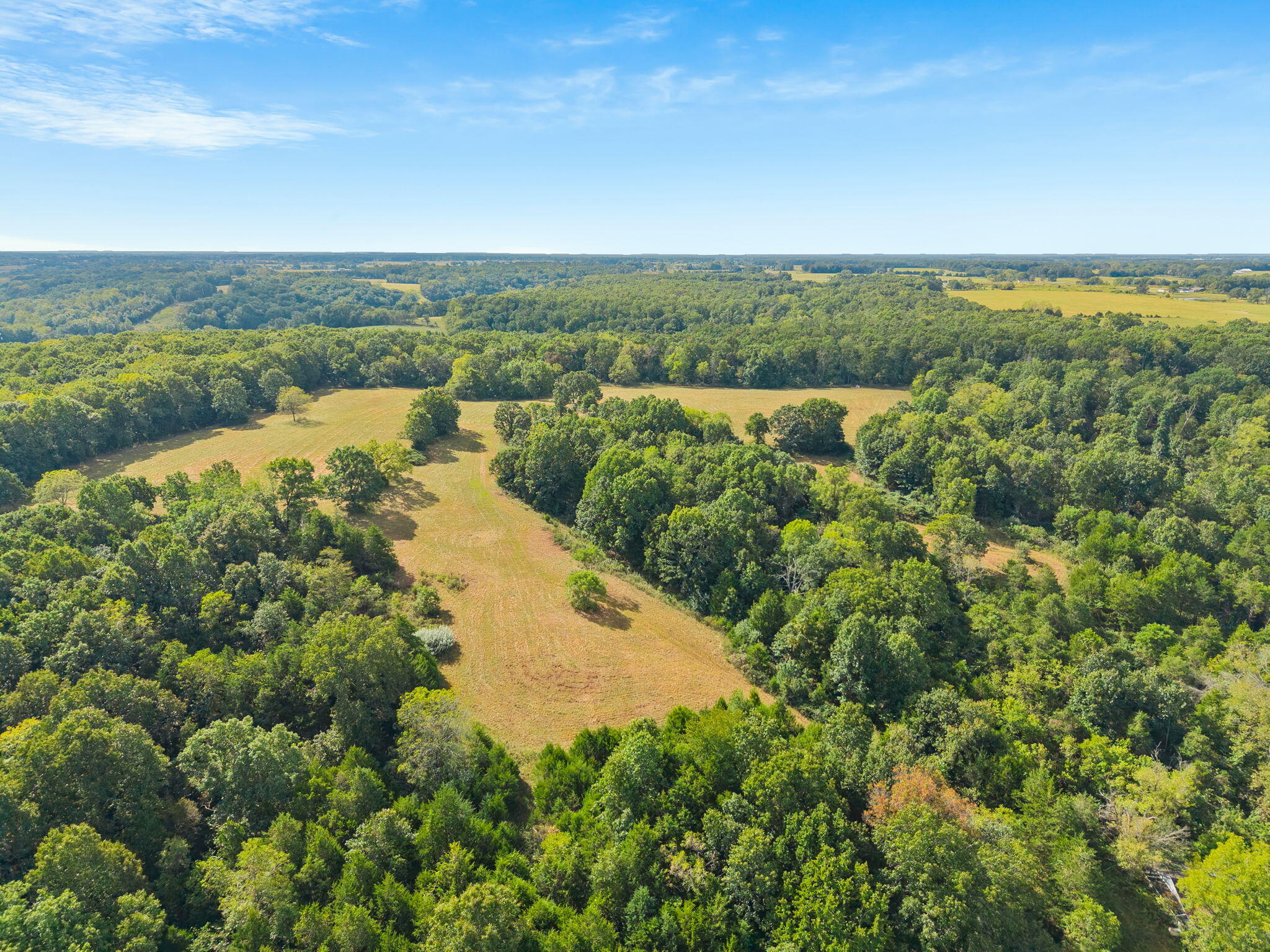 Photo 12 - Land for sale – 000  Bobcat   Rogersville, MO