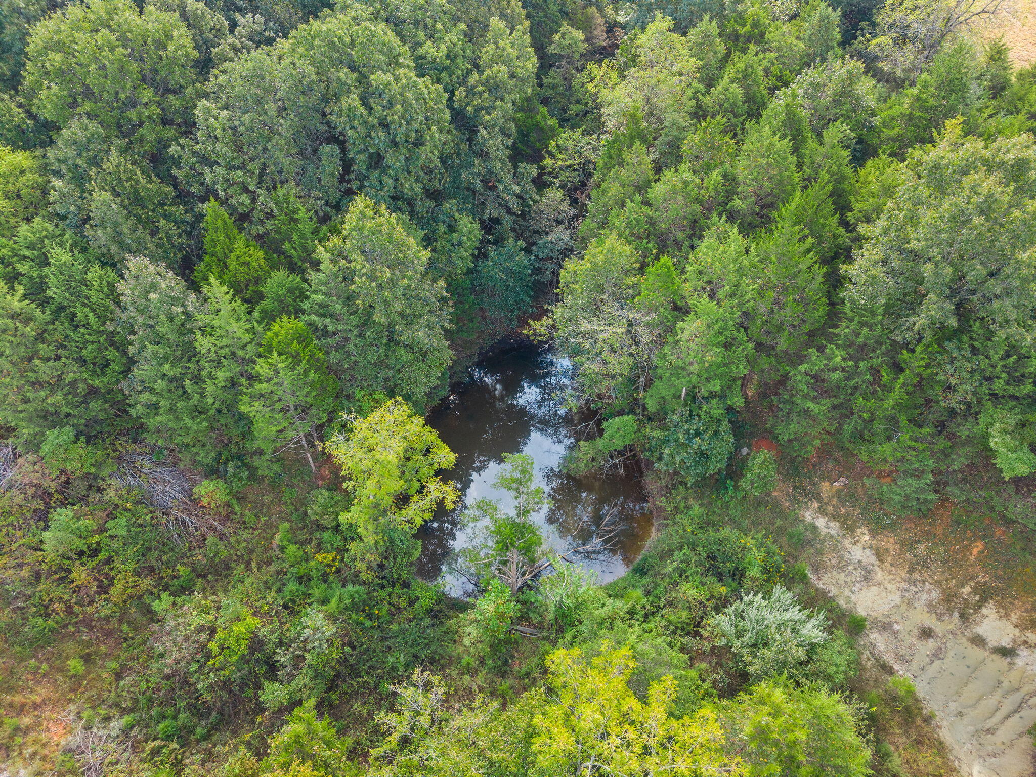 Photo 6 - Land for sale – 000  Bobcat   Rogersville, MO