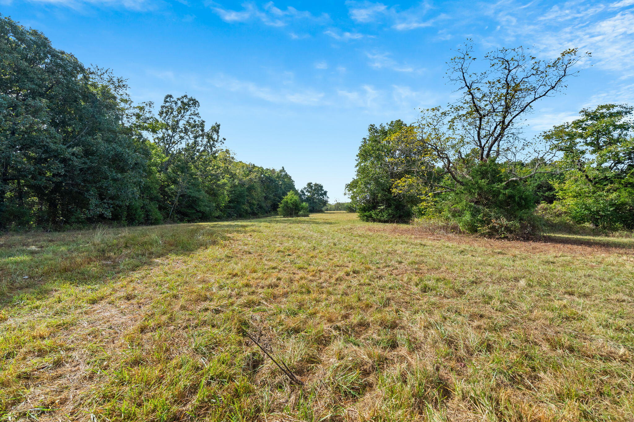 Photo 24 - Land for sale – 000  Bobcat   Rogersville, MO