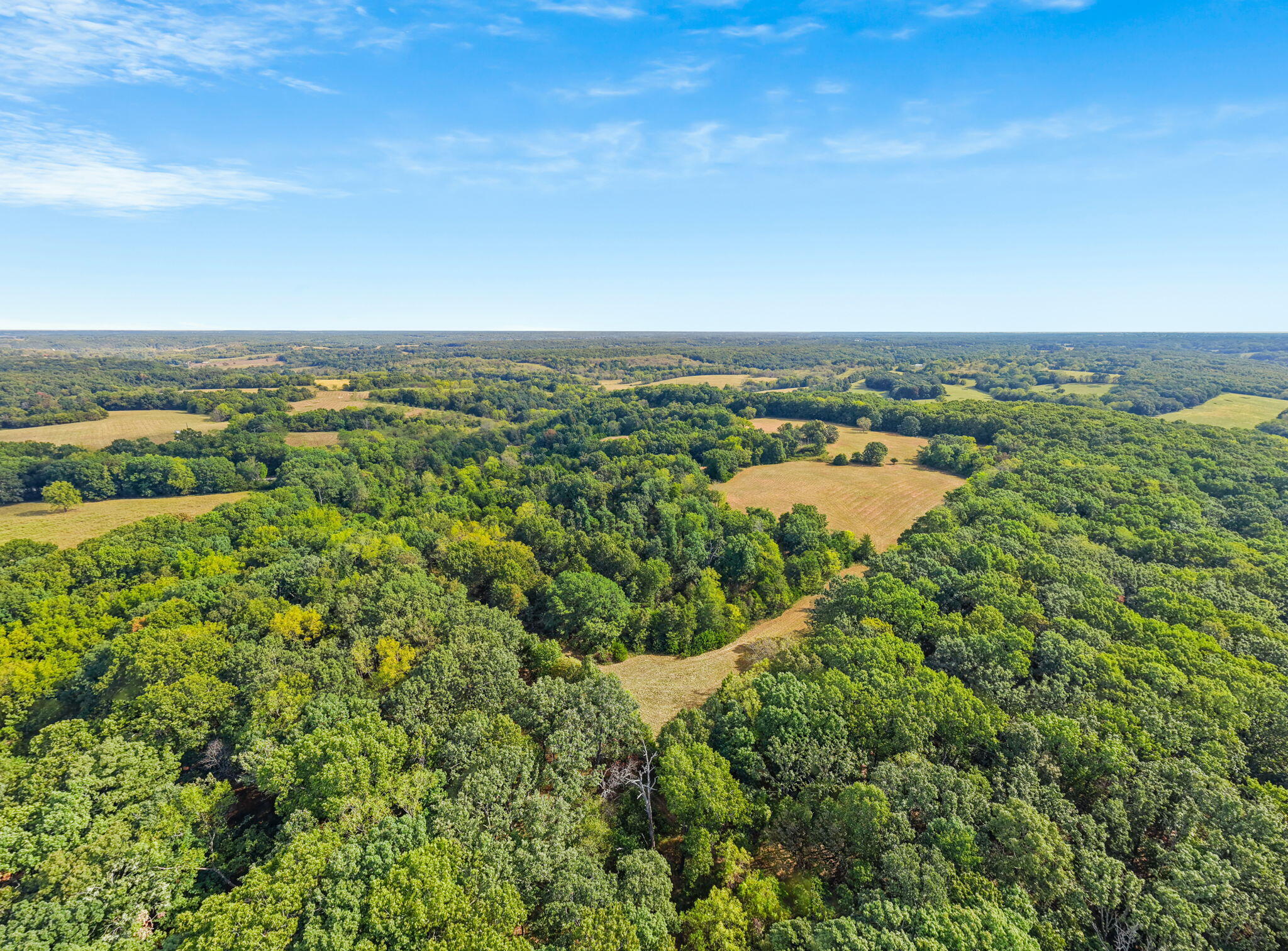 Photo 9 - Land for sale – 000  Bobcat   Rogersville, MO