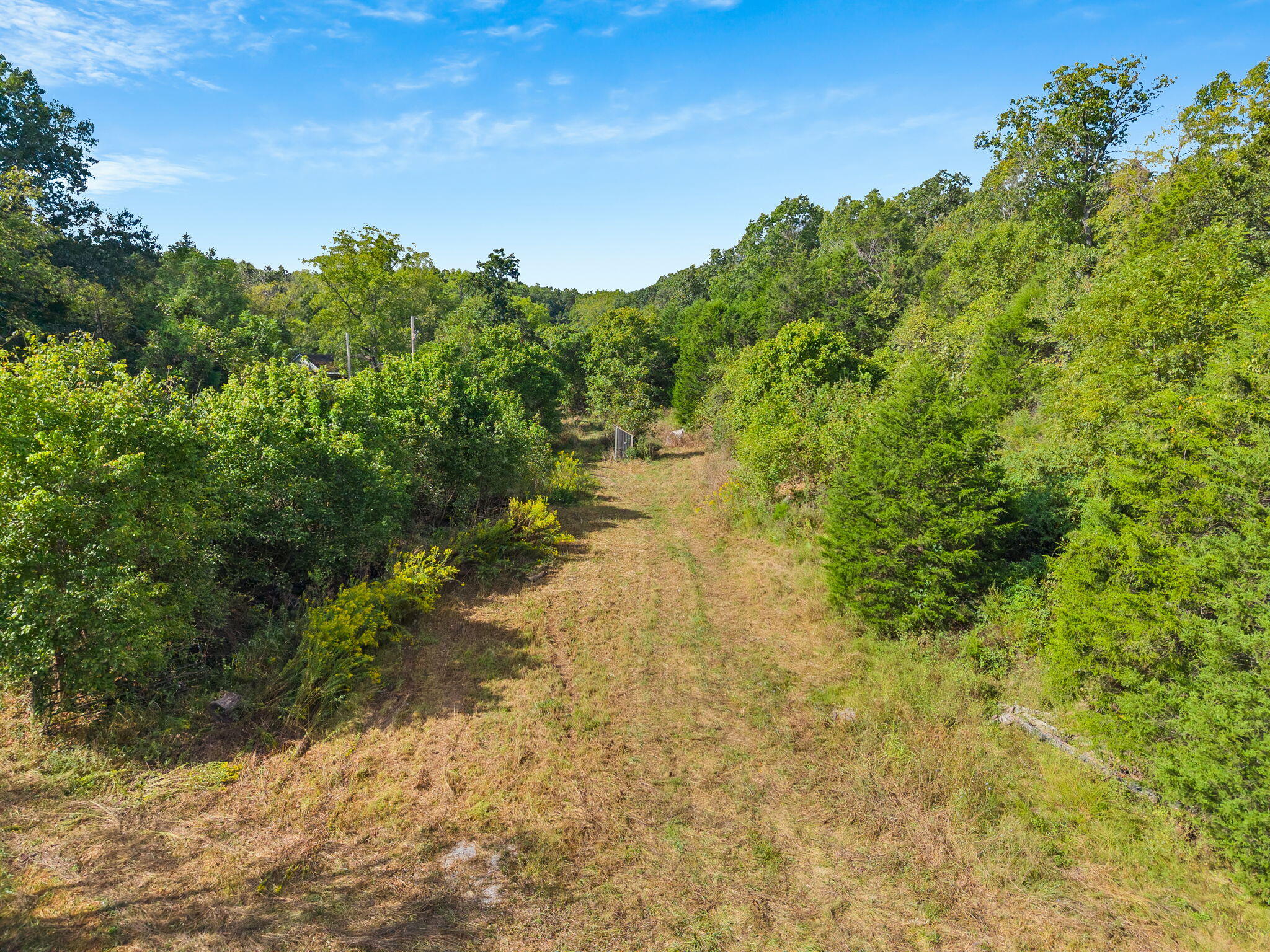 Photo 14 - Land for sale – 000  Bobcat   Rogersville, MO