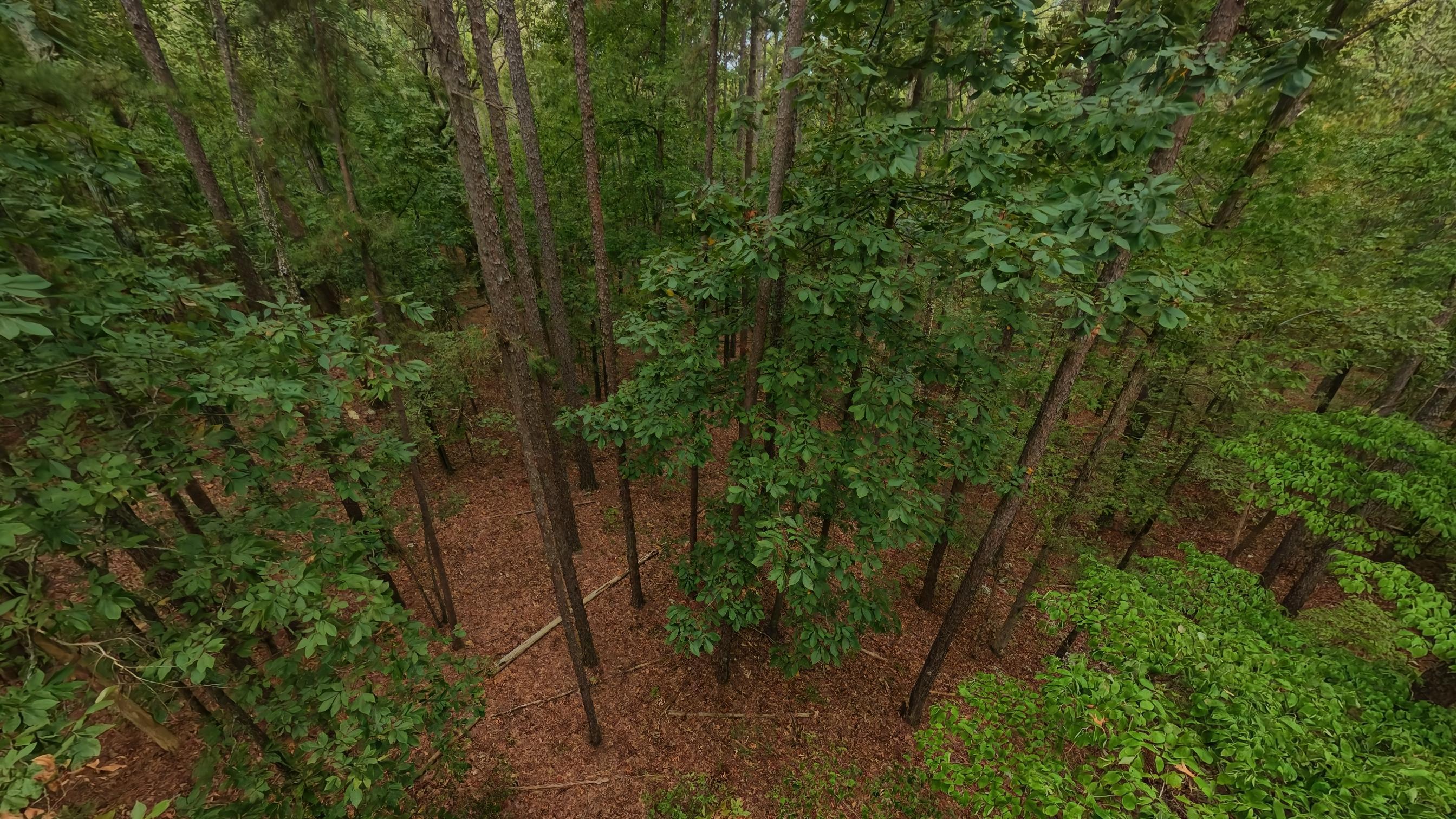 Photo 27 - Land for sale – 000  State Highway 14   West Plains, MO