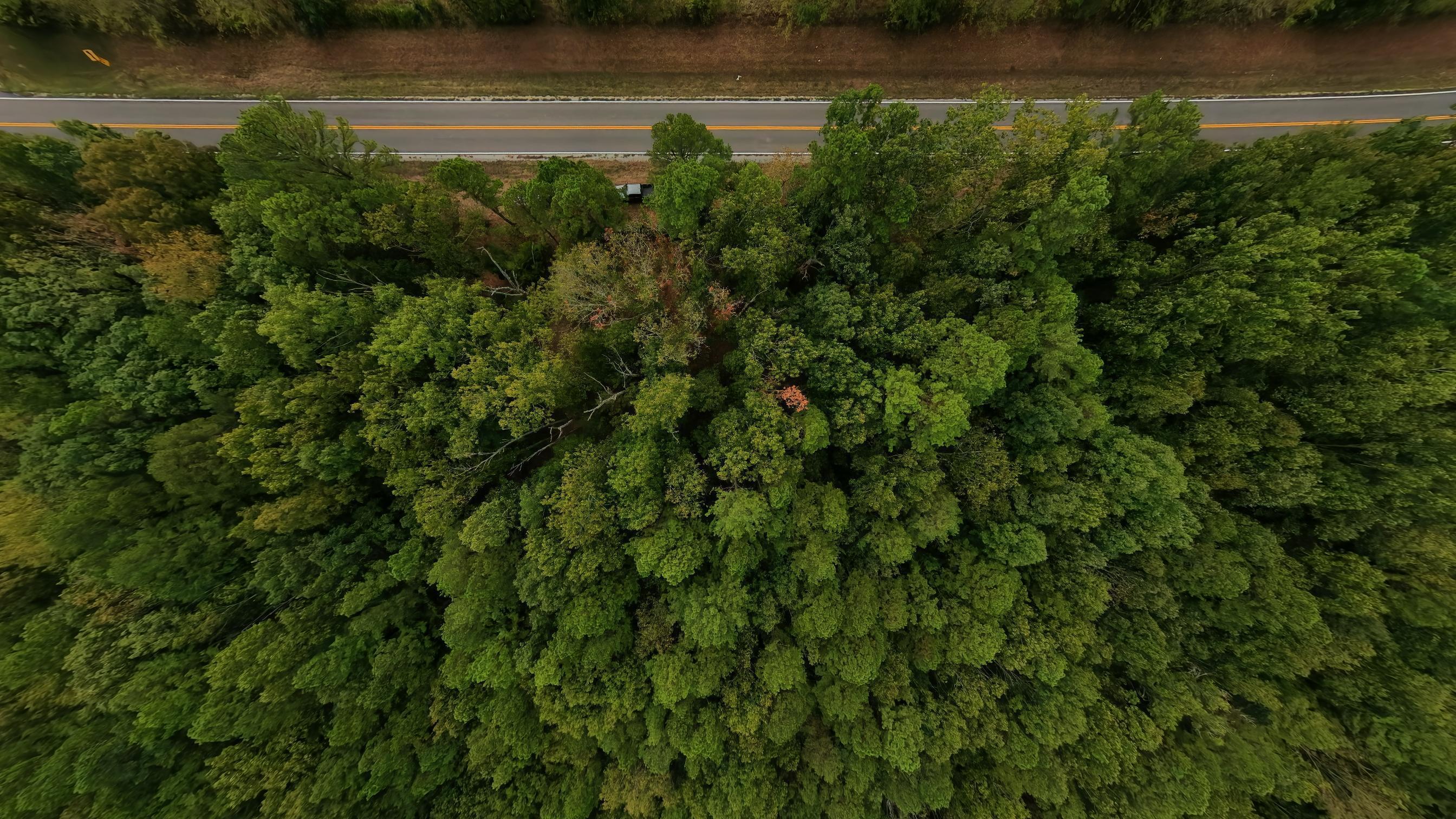 Photo 8 - Land for sale – 000  State Highway 14   West Plains, MO