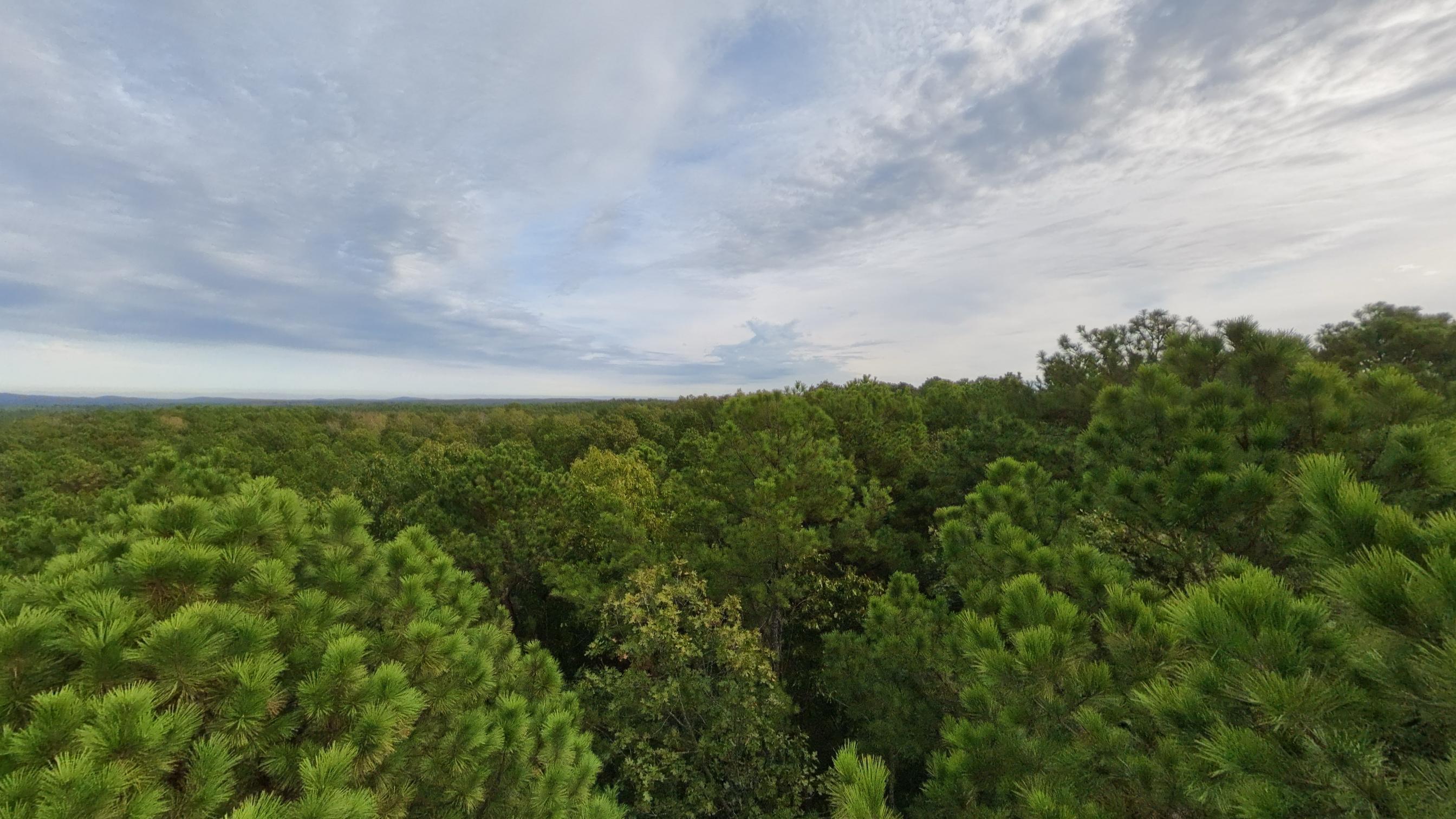 Photo 10 - Land for sale – 000  State Highway 14   West Plains, MO