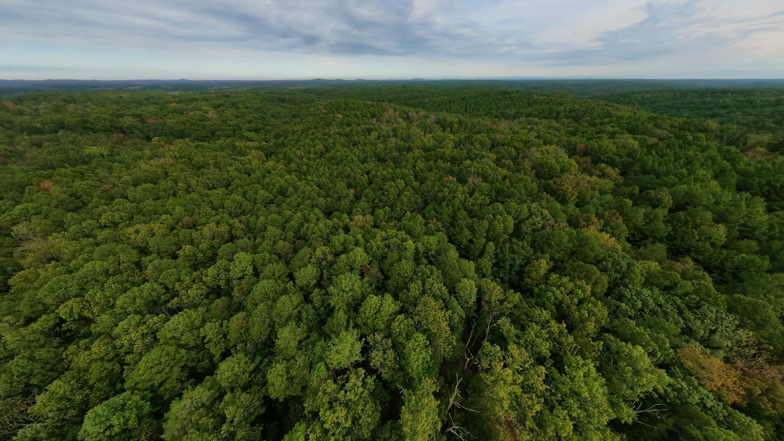 Photo 9 - Land for sale – 000  State Highway 14   West Plains, MO