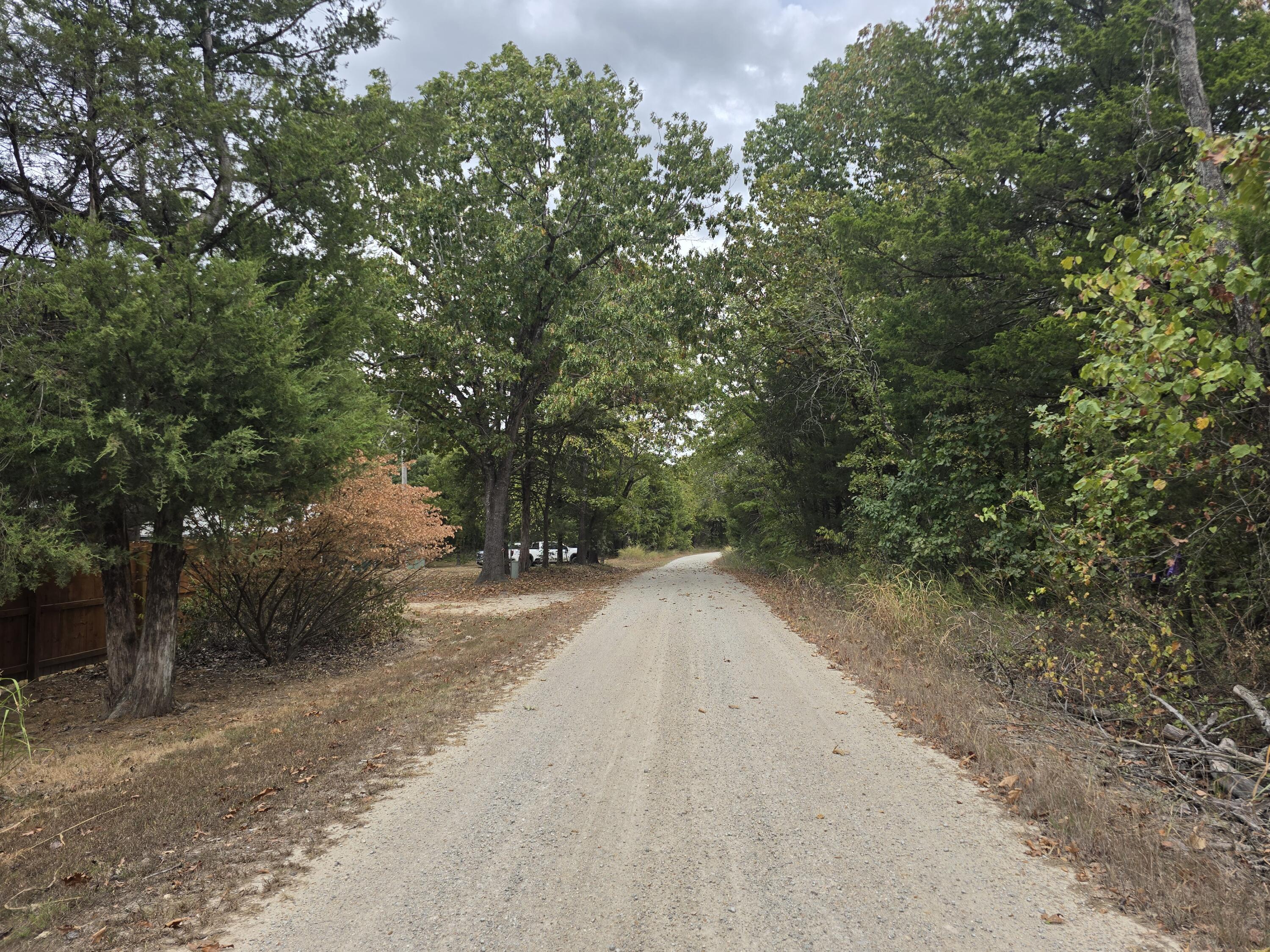 Photo 48 - Residential for sale – 687  County Road 917   Theodosia, MO