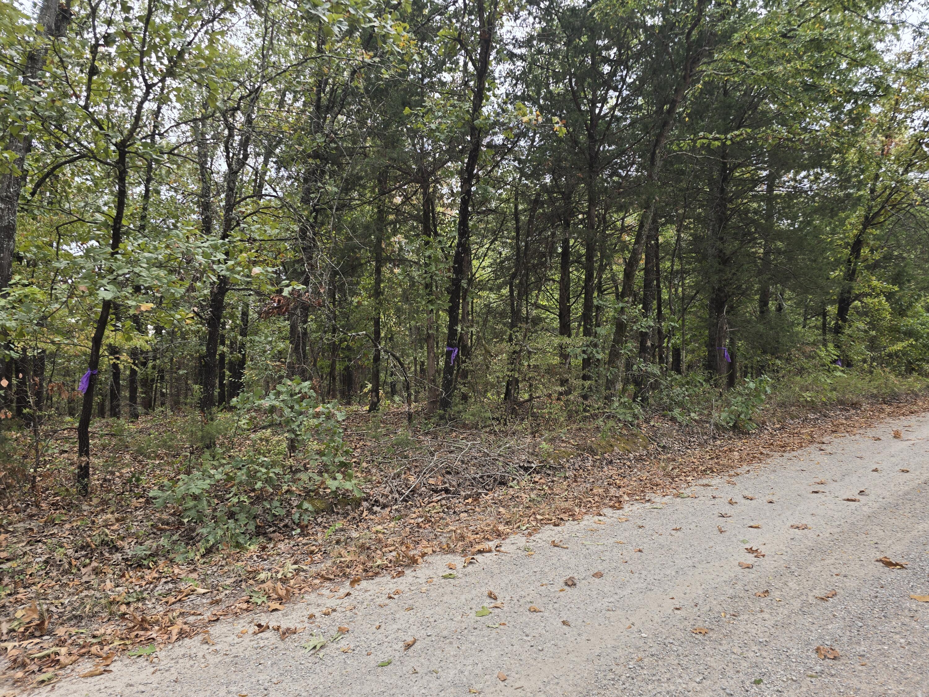 Photo 44 - Residential for sale – 687  County Road 917   Theodosia, MO