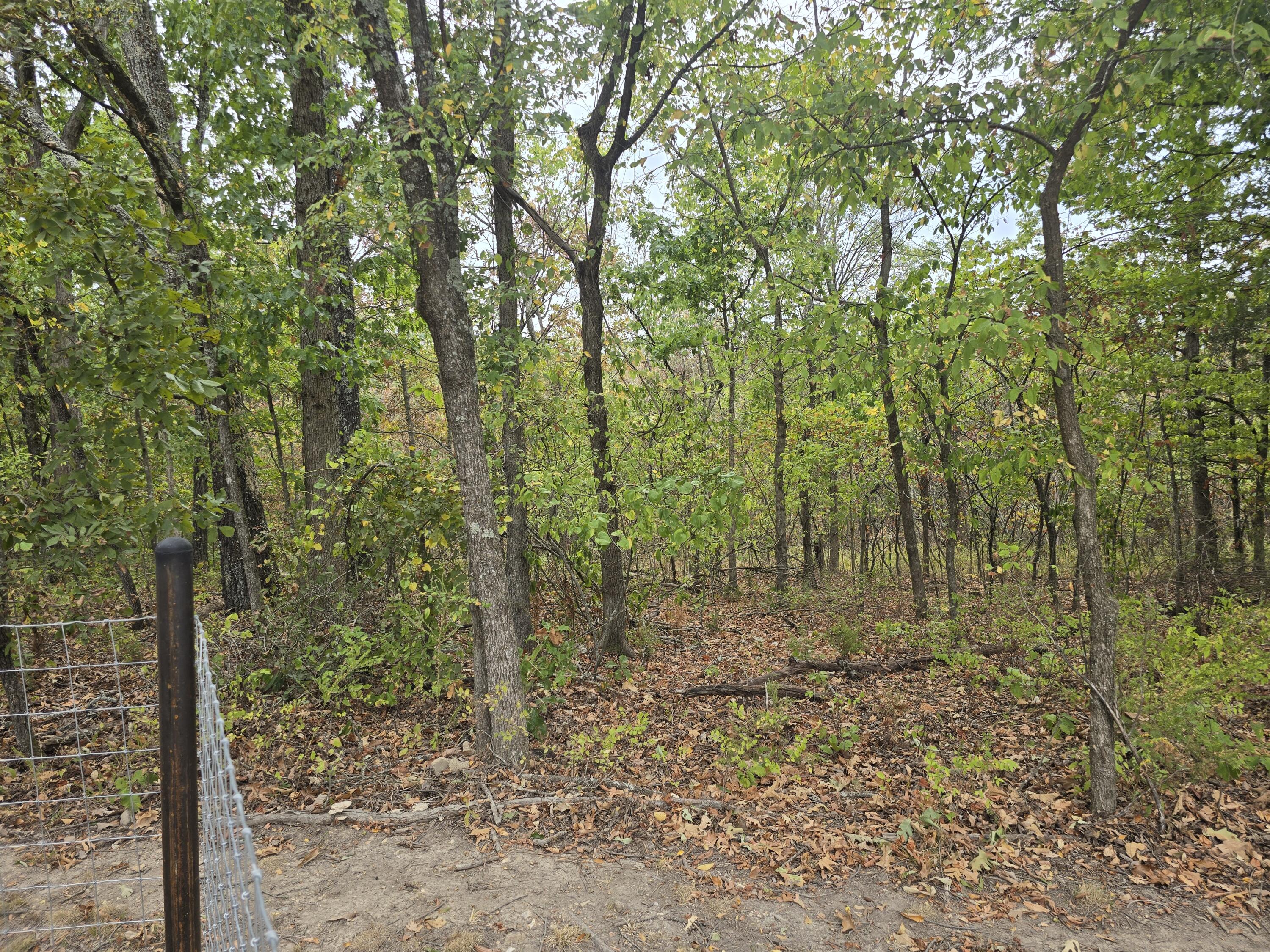 Photo 41 - Residential for sale – 687  County Road 917   Theodosia, MO