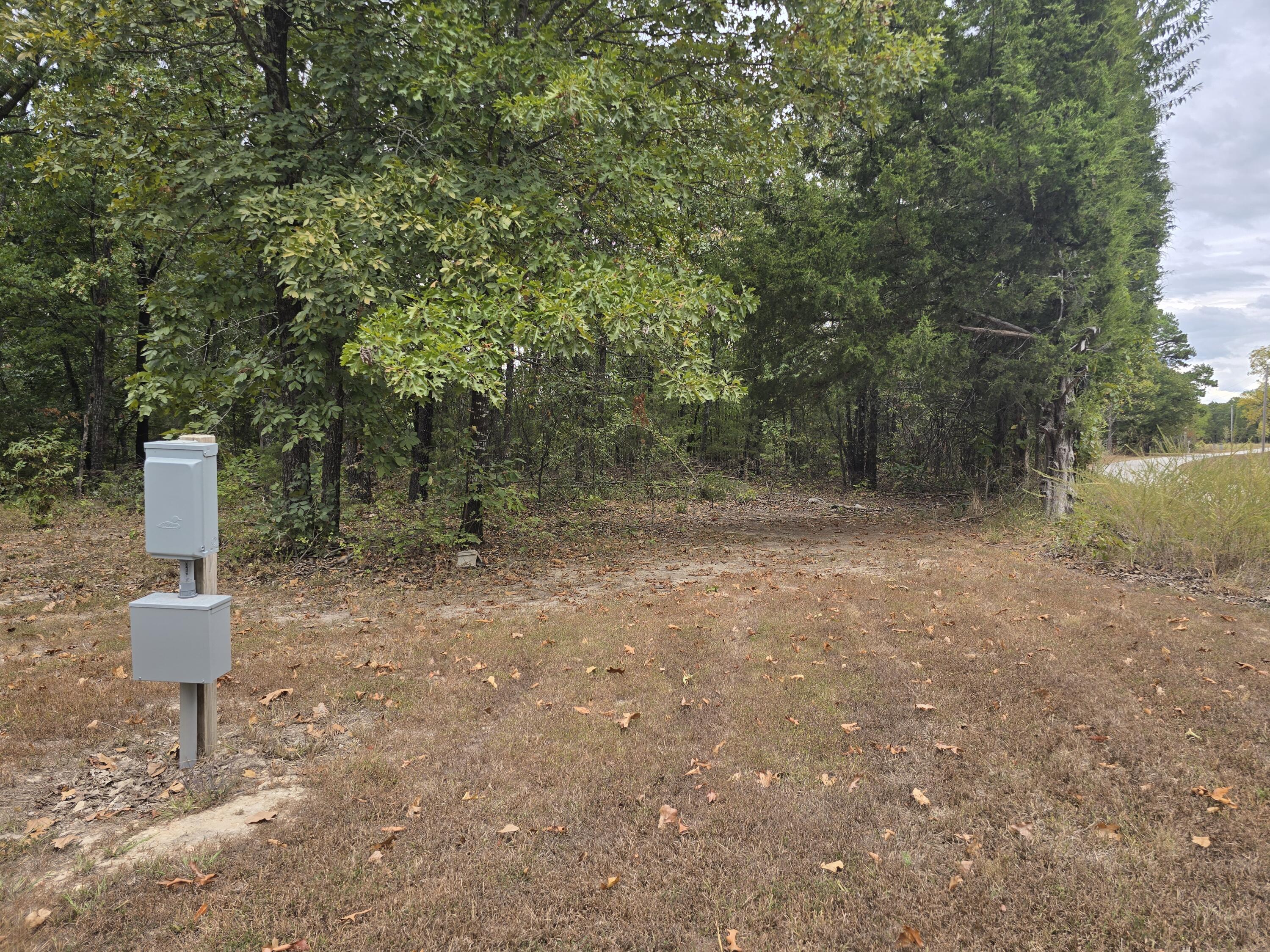 Photo 36 - Residential for sale – 687  County Road 917   Theodosia, MO