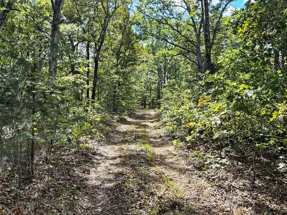 Photo 22 - Land for sale – 000 SE 1200 Road  Collins, MO