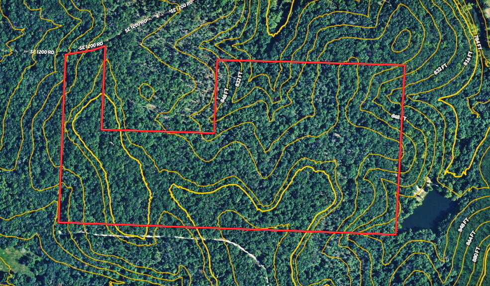 Photo 24 - Land for sale – 000 SE 1200 Road  Collins, MO