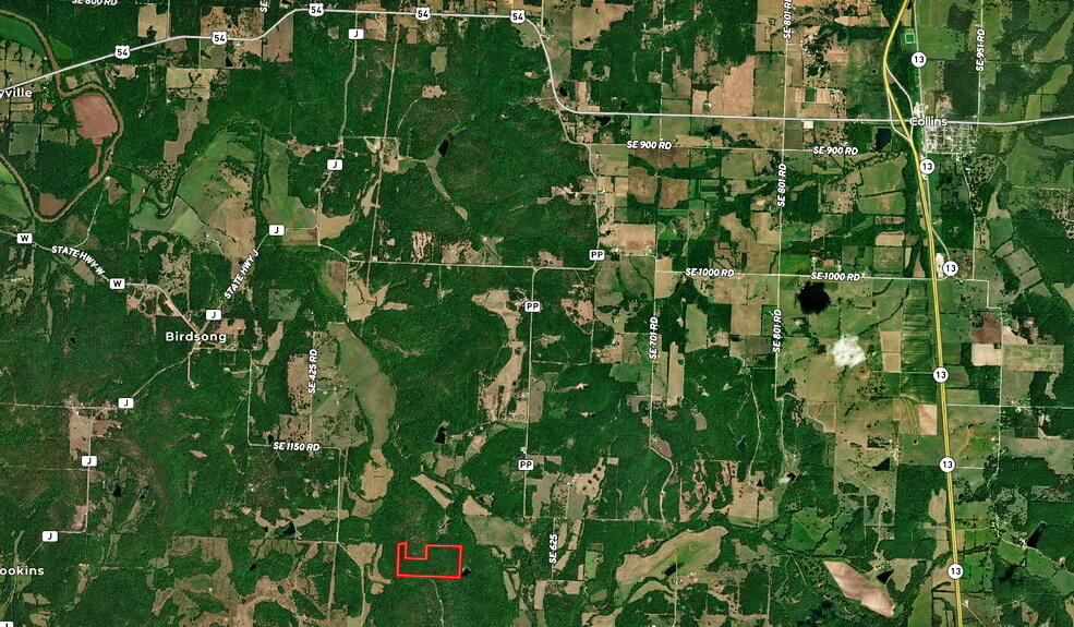 Photo 26 - Land for sale – 000 SE 1200 Road  Collins, MO