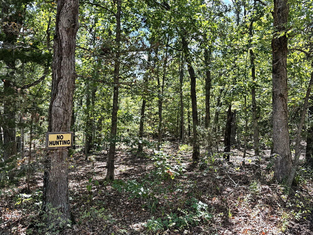 Photo 12 - Land for sale – 000 SE 1200 Road  Collins, MO