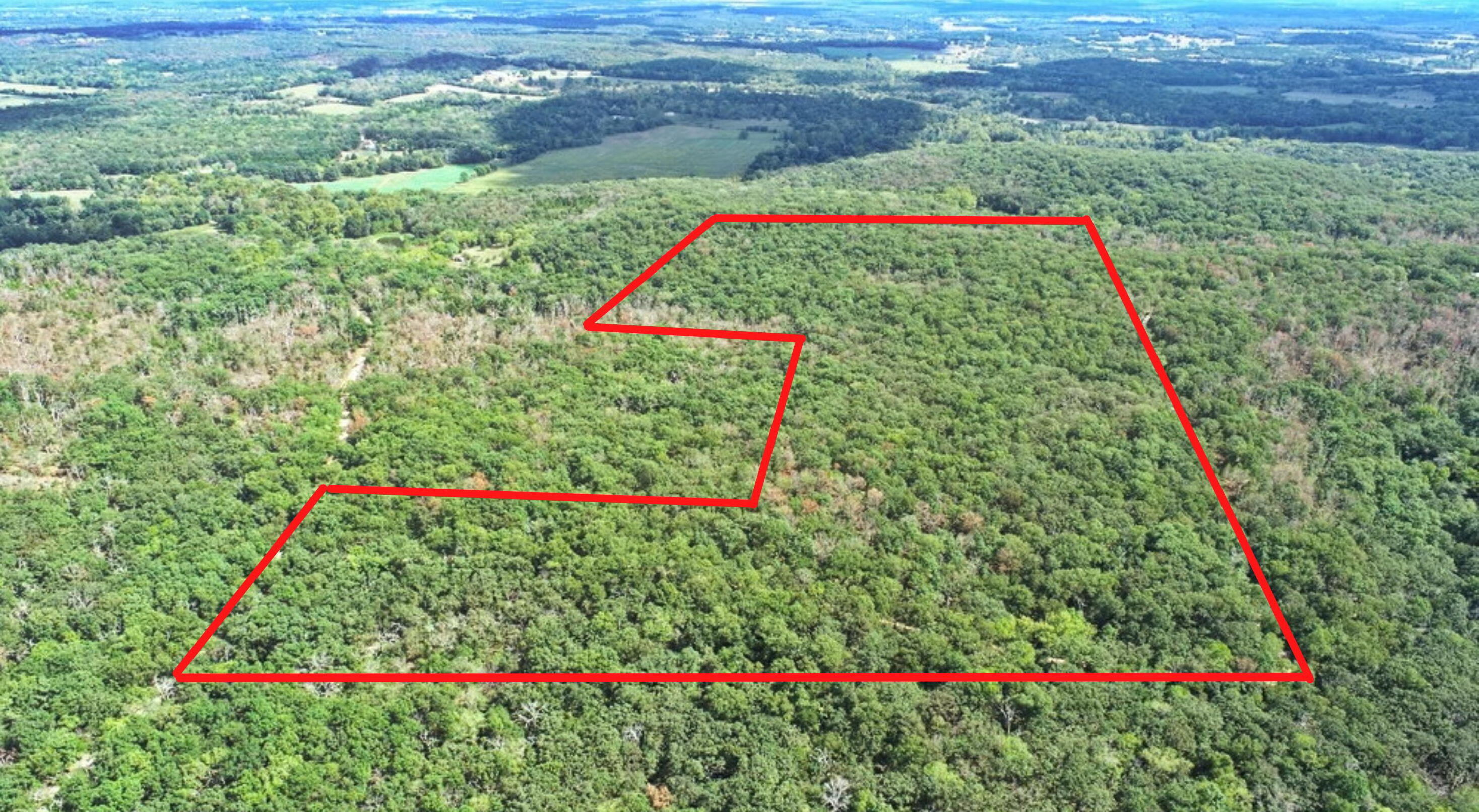 Photo 2 - Land for sale – 000 SE 1200 Road  Collins, MO