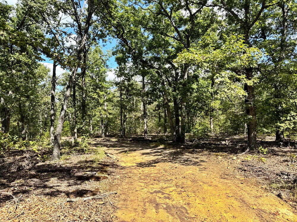 Photo 20 - Land for sale – 000 SE 1200 Road  Collins, MO