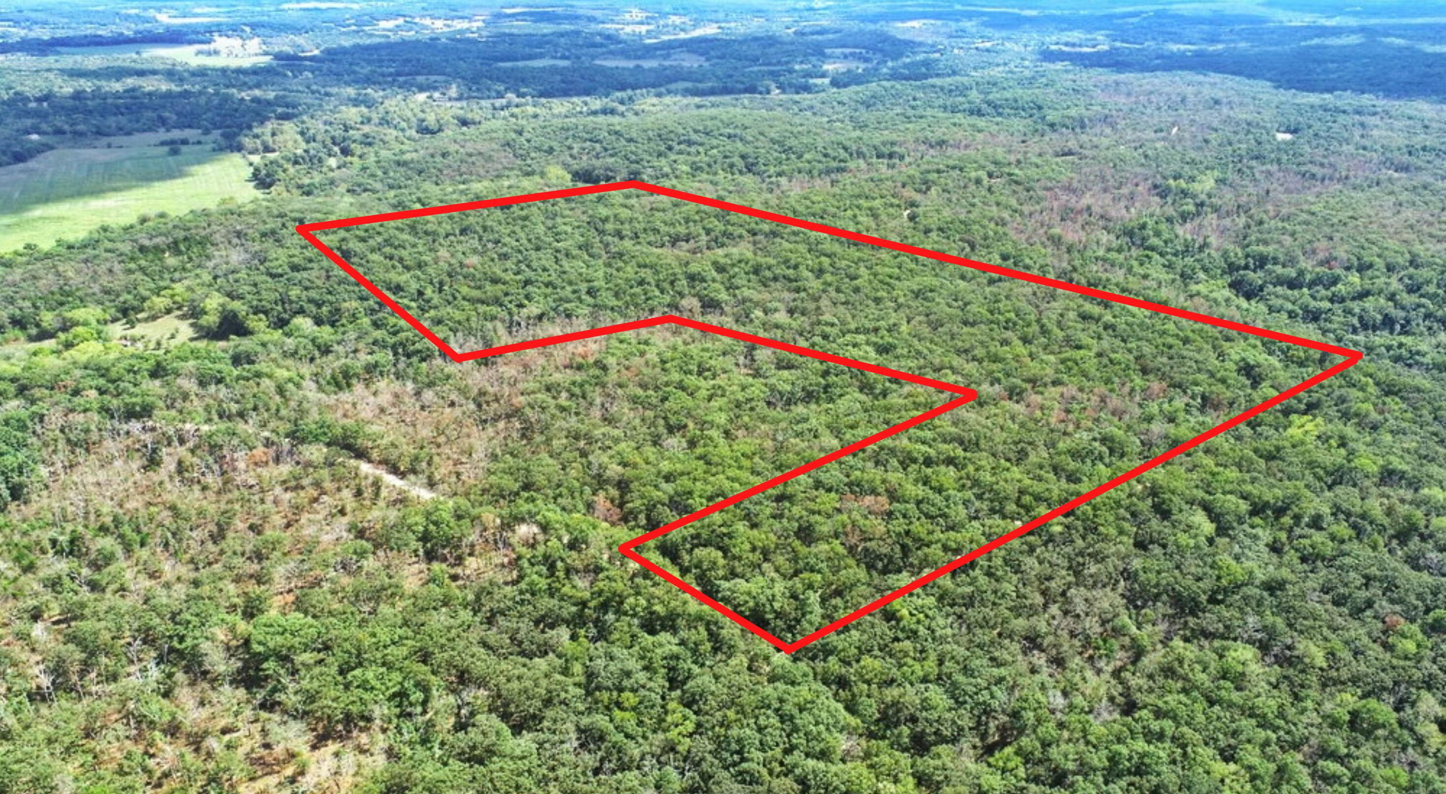 Land for sale – 000 SE 1200 Road  Collins, MO
