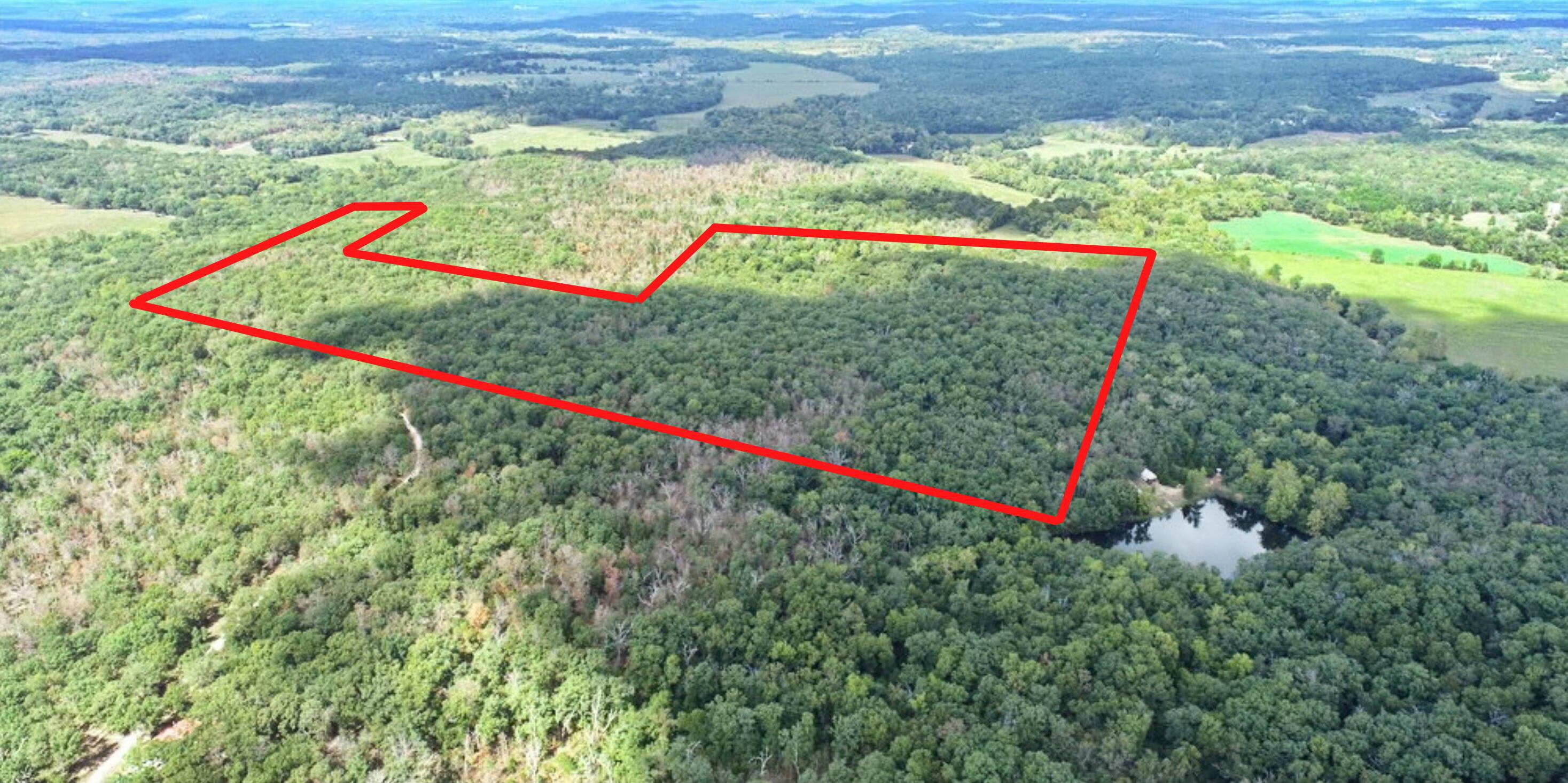 Photo 5 - Land for sale – 000 SE 1200 Road  Collins, MO