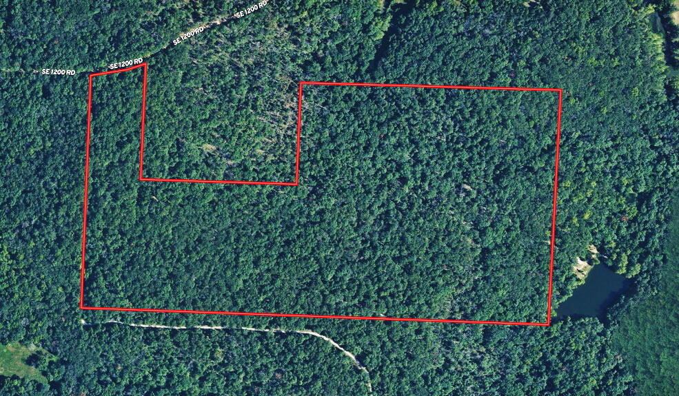 Photo 23 - Land for sale – 000 SE 1200 Road  Collins, MO