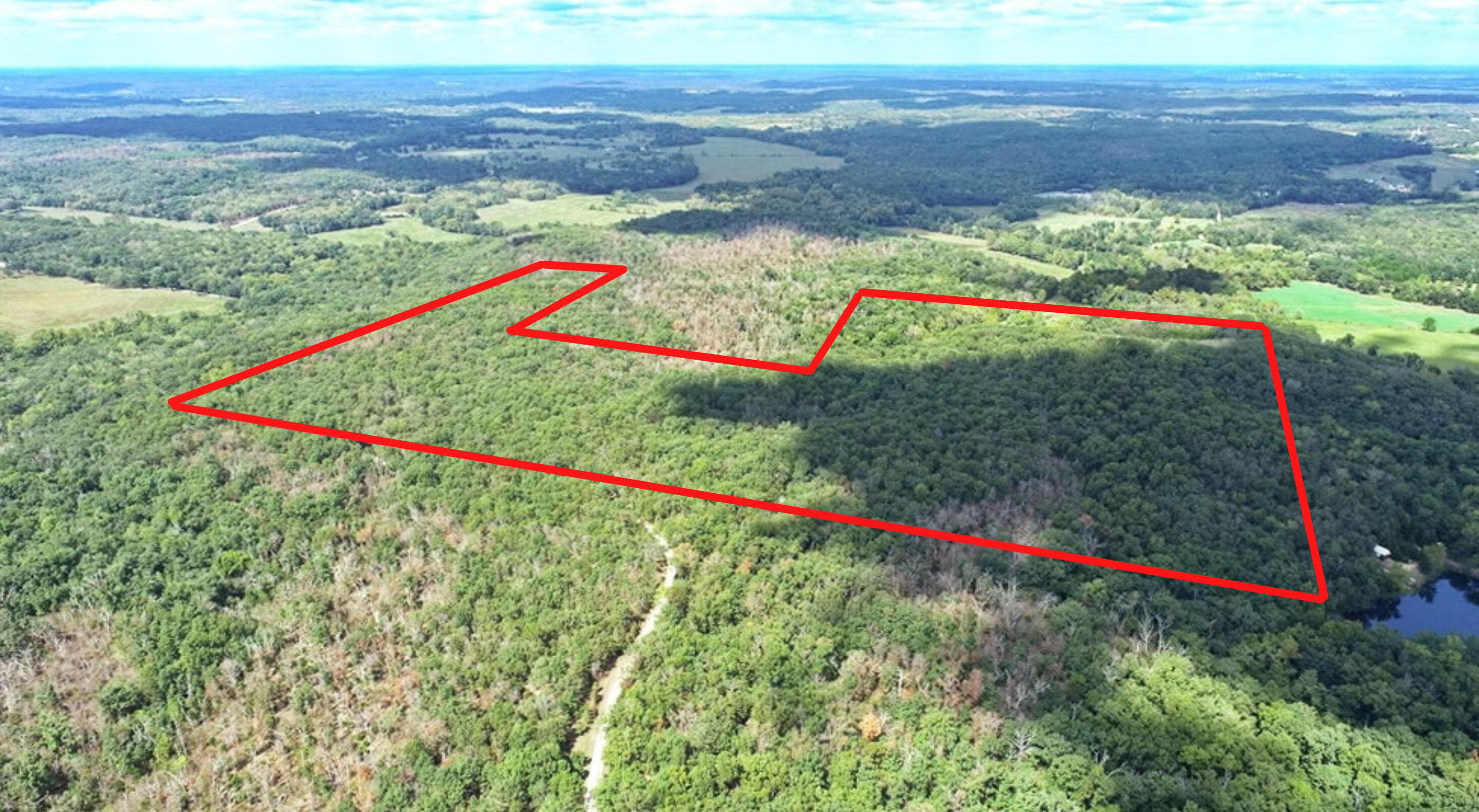 Photo 4 - Land for sale – 000 SE 1200 Road  Collins, MO
