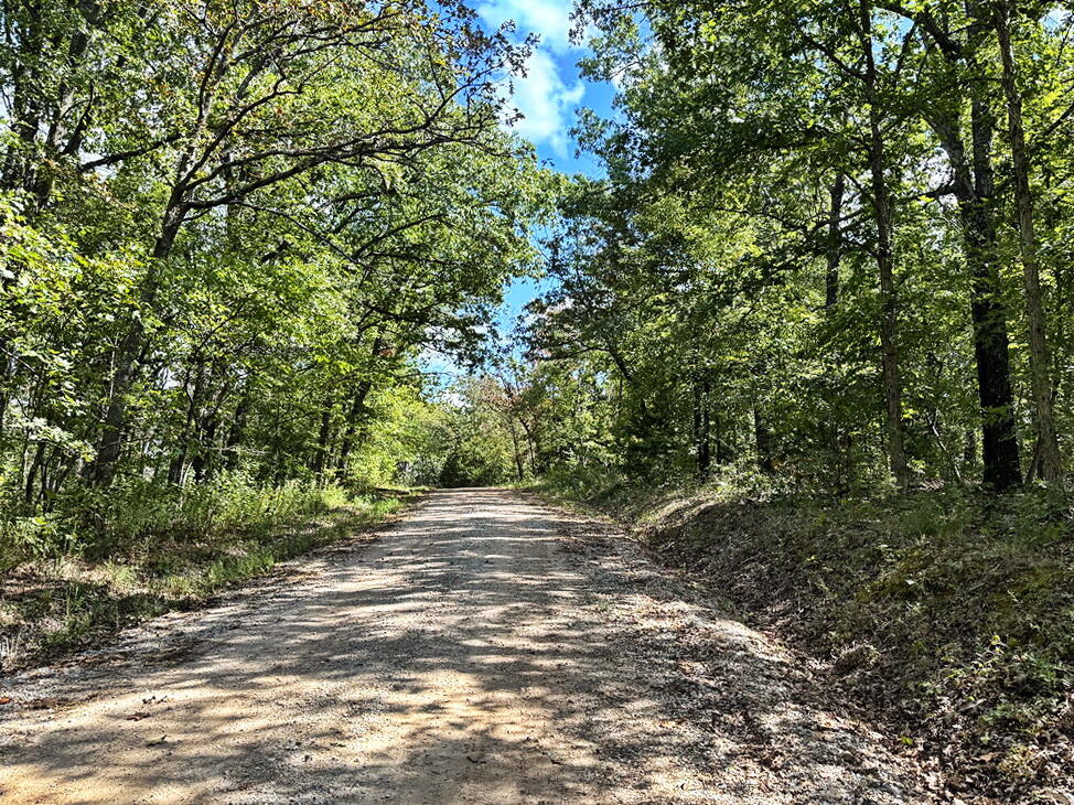 Photo 7 - Land for sale – 000 SE 1200 Road  Collins, MO