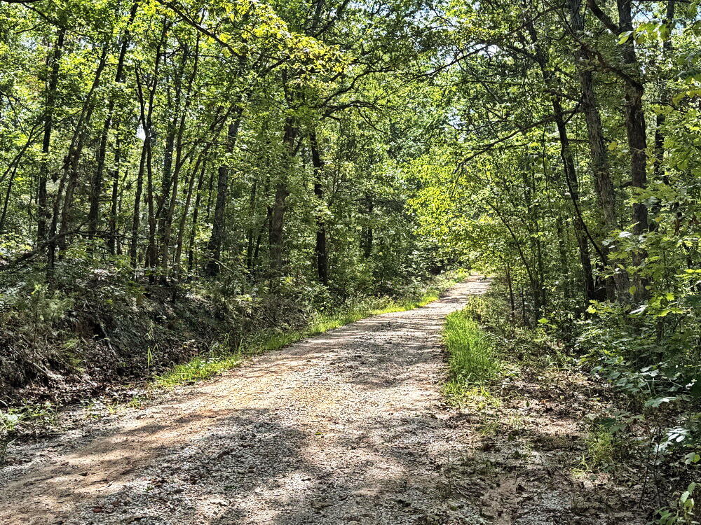 Photo 9 - Land for sale – 000 SE 1200 Road  Collins, MO