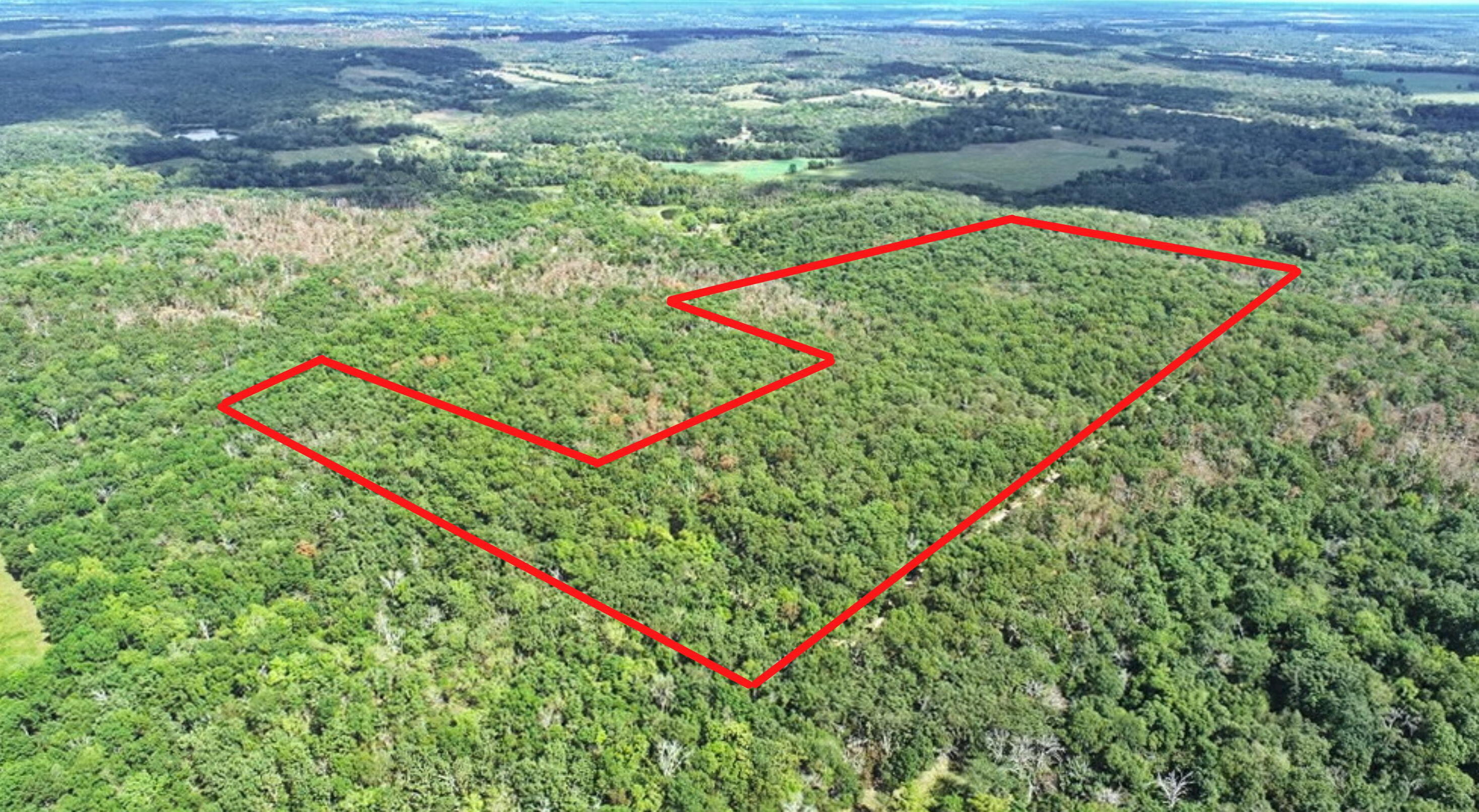 Photo 3 - Land for sale – 000 SE 1200 Road  Collins, MO