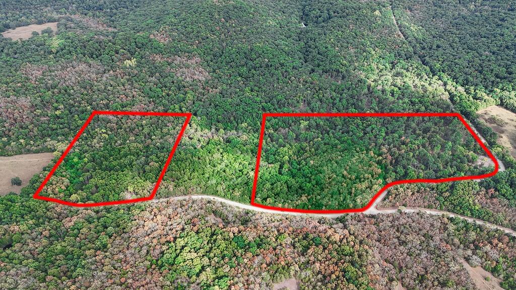 Photo 12 - Land for sale – 000  County Road 122   Wasola, MO