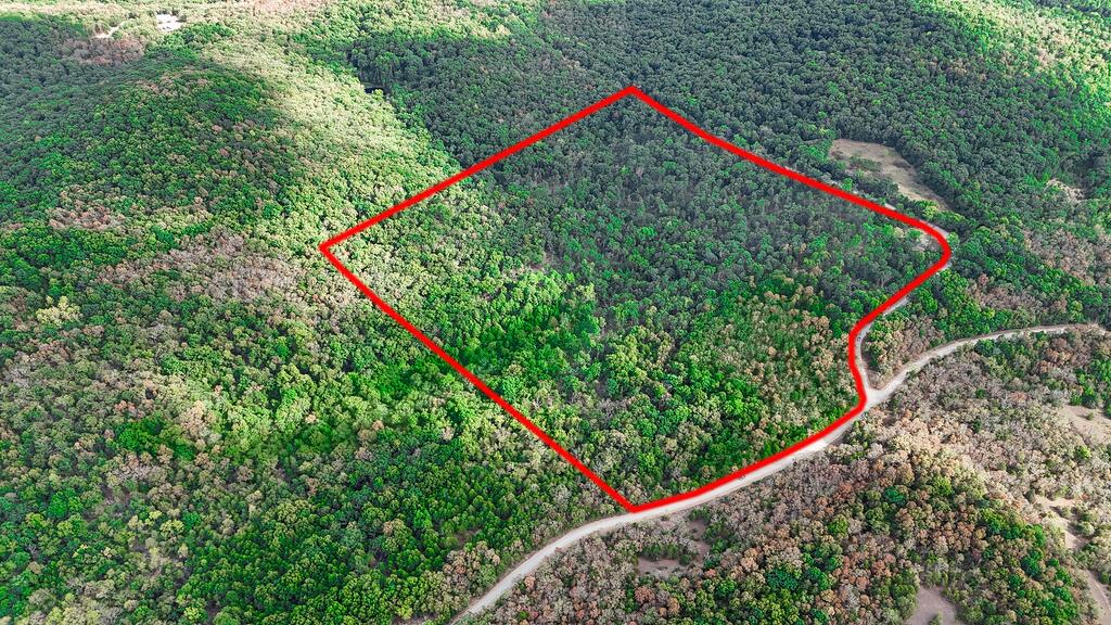 Photo 3 - Land for sale – 000  County Road 122   Wasola, MO