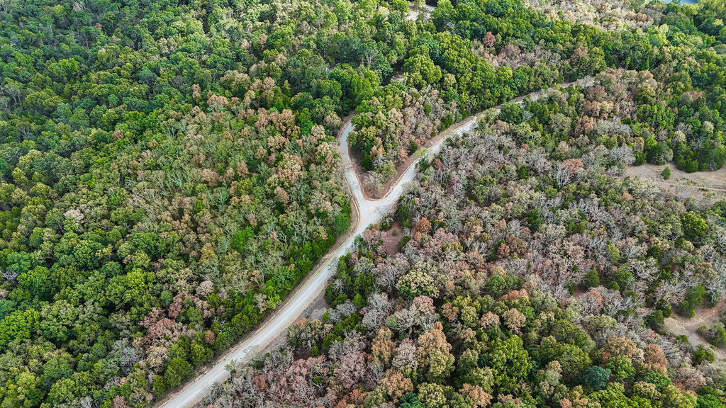 Photo 10 - Land for sale – 000  County Road 122   Wasola, MO