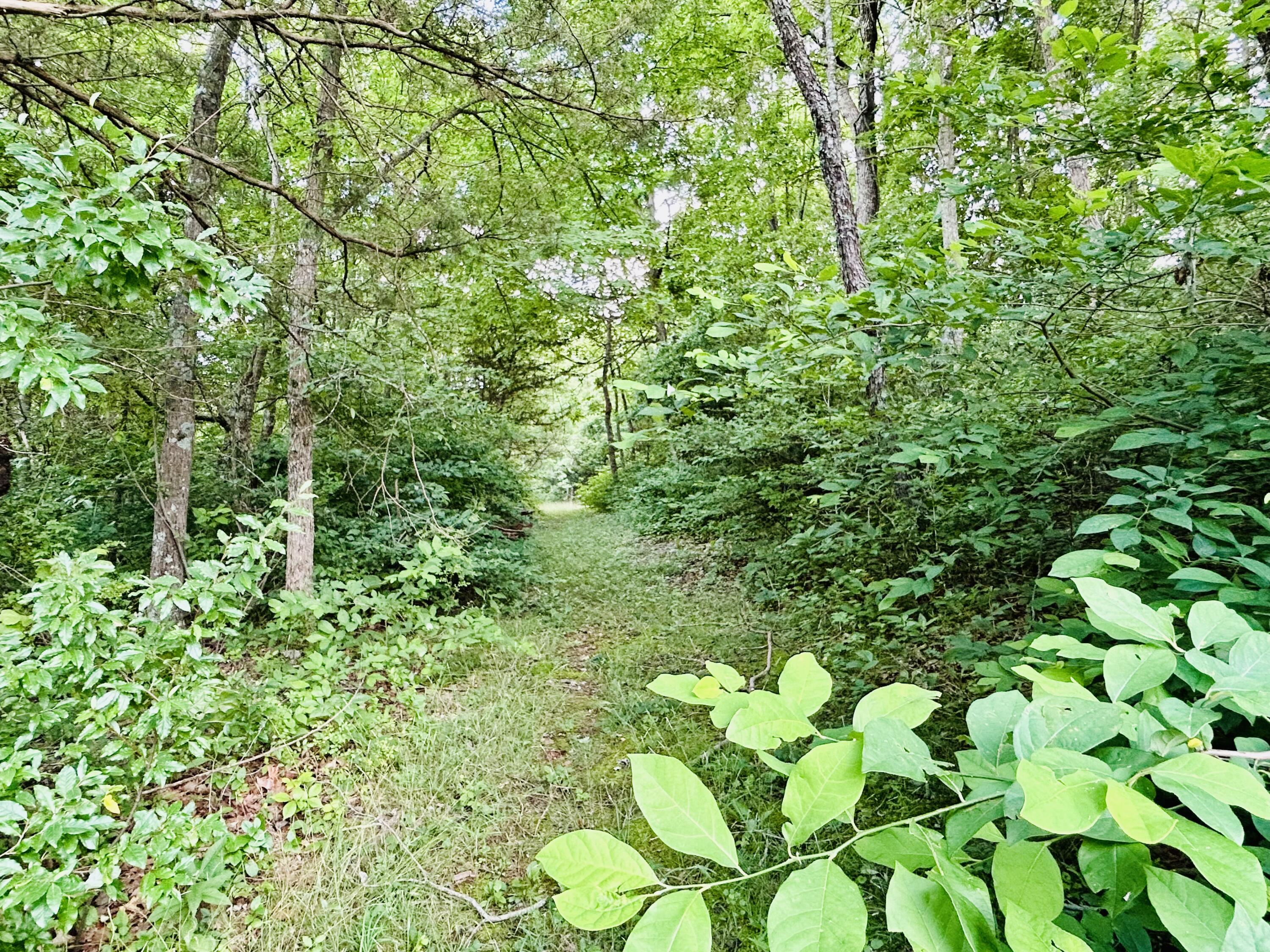 Land for sale – 000  Lawrence 1247   Marionville, MO