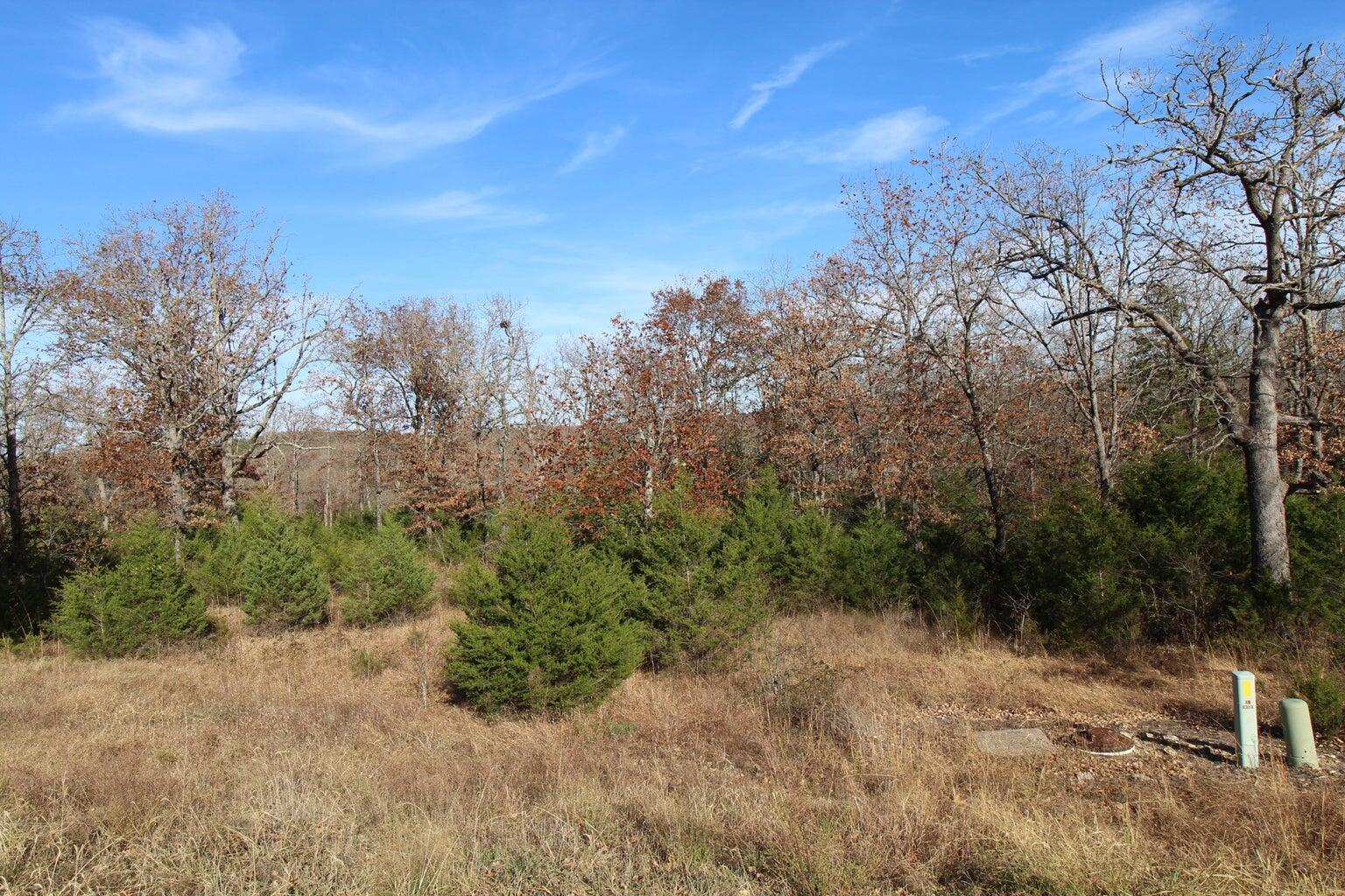 Photo 4 - Land for sale – 199  Forest Lake   Branson West, MO