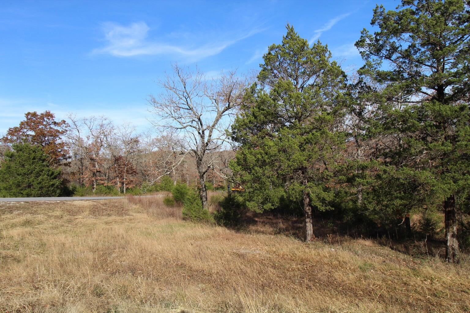 Photo 5 - Land for sale – 199  Forest Lake   Branson West, MO