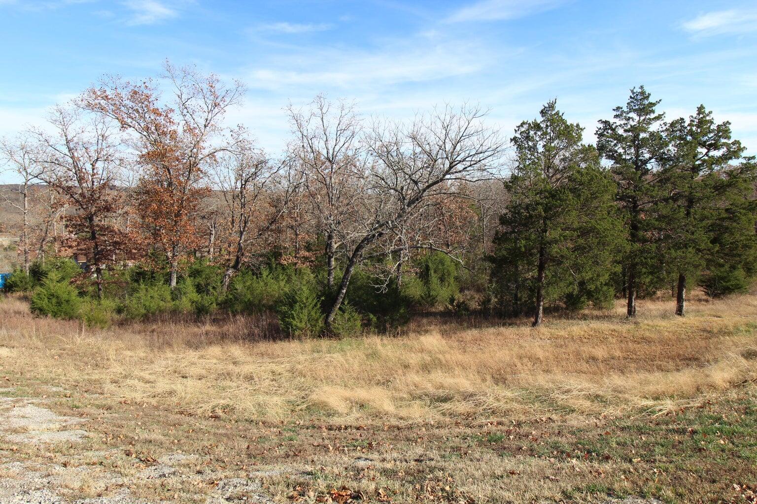 Photo 3 - Land for sale – 199  Forest Lake   Branson West, MO