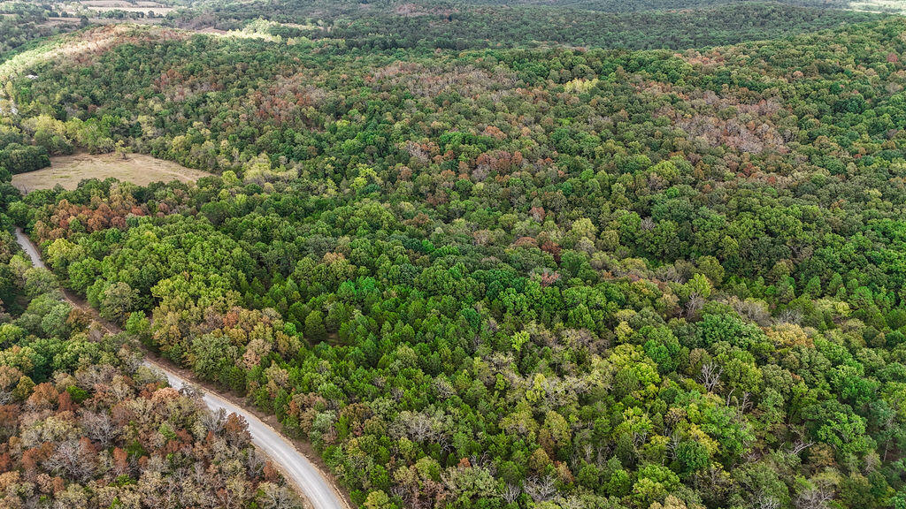 Photo 10 - Land for sale – 000  Co Rd 122   Wasola, MO