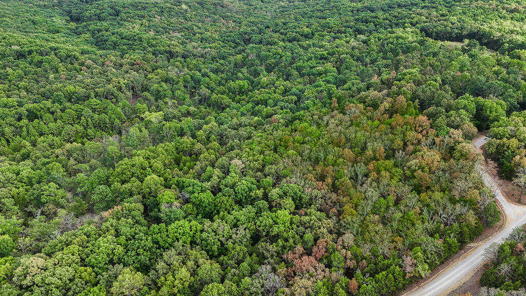 Photo 3 - Land for sale – 000  Co Rd 122   Wasola, MO
