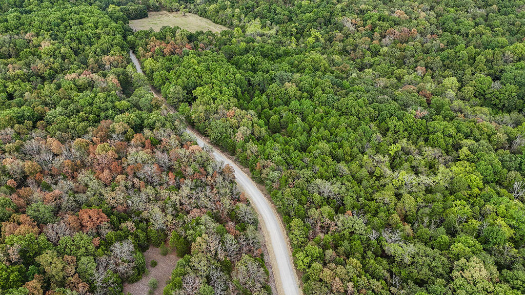 Photo 9 - Land for sale – 000  Co Rd 122   Wasola, MO