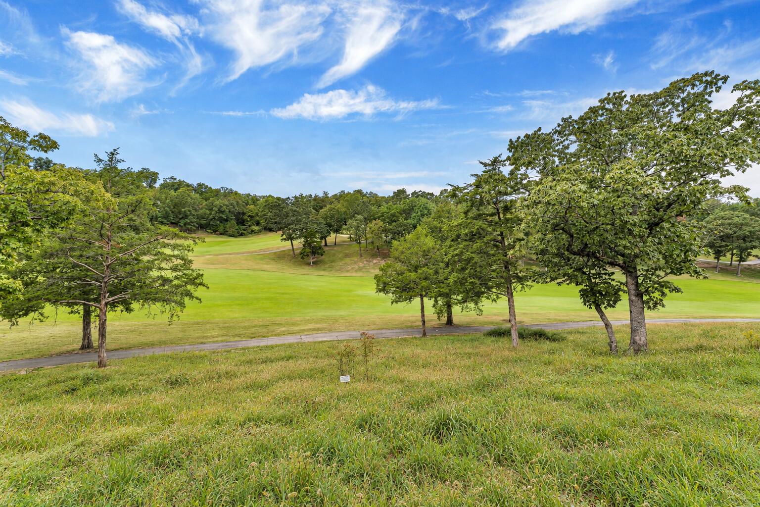 Photo 9 - Residential for sale – 1261  Golf Drive  Branson West, MO