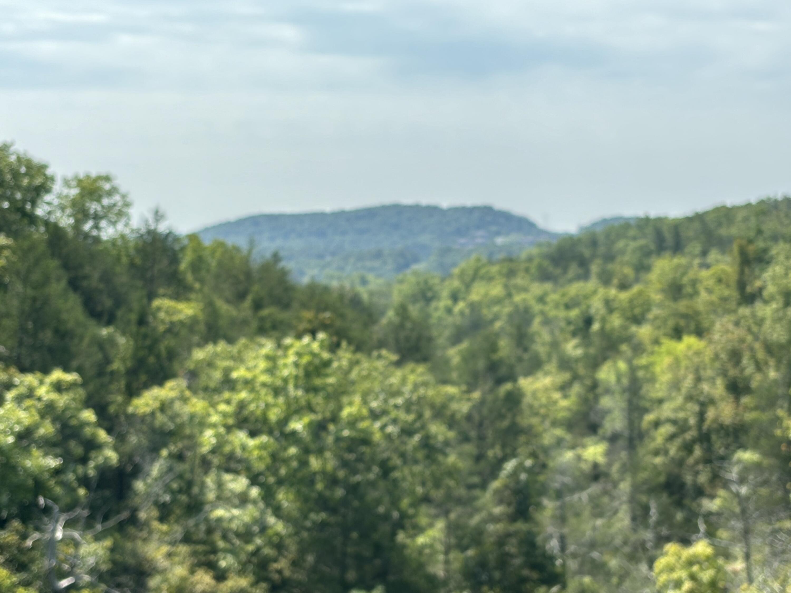 Photo 2 - Land for sale – Lot #3  Fox Hollow   Branson West, MO
