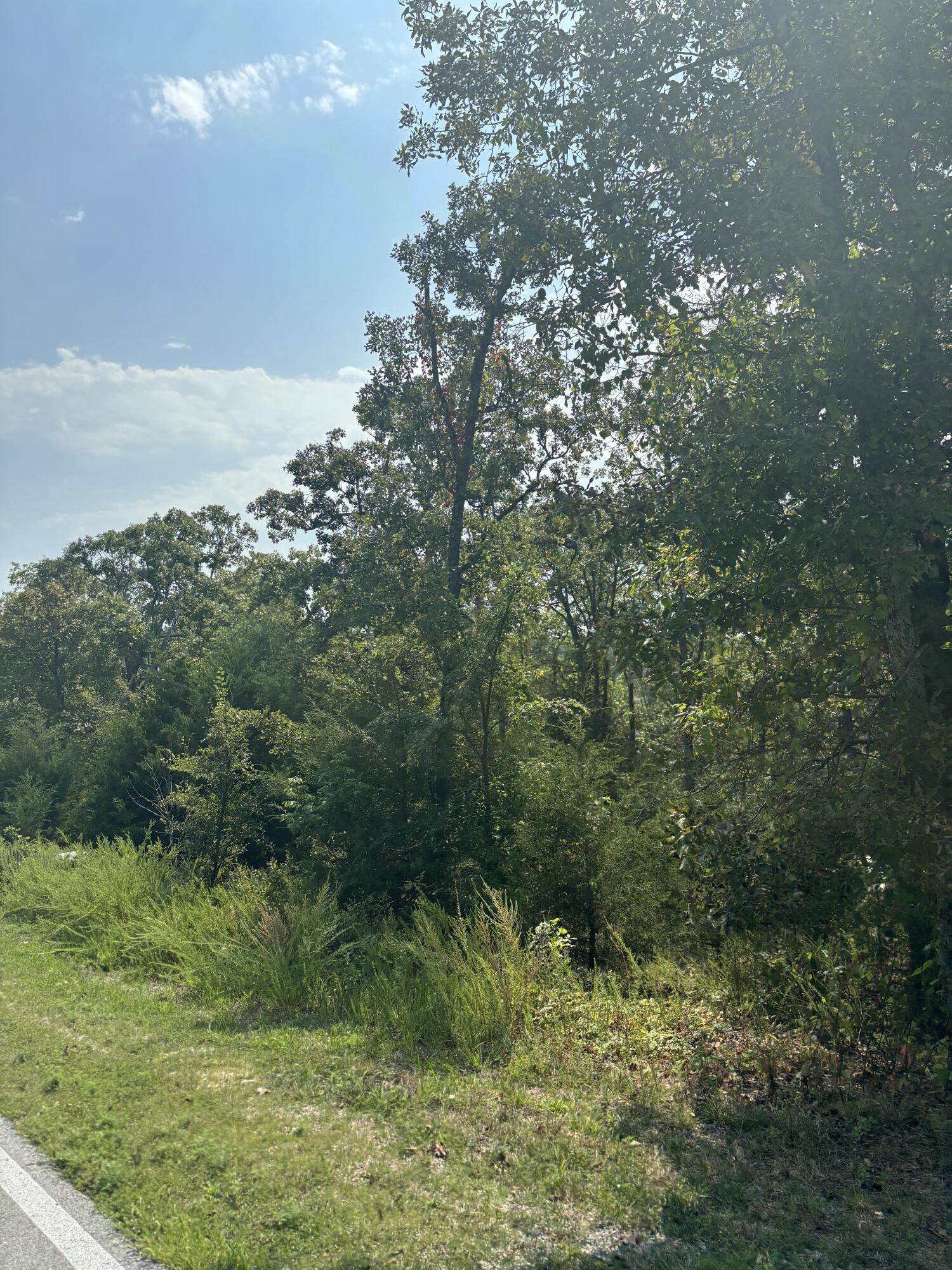 Photo 4 - Land for sale – Lot #3  Fox Hollow   Branson West, MO