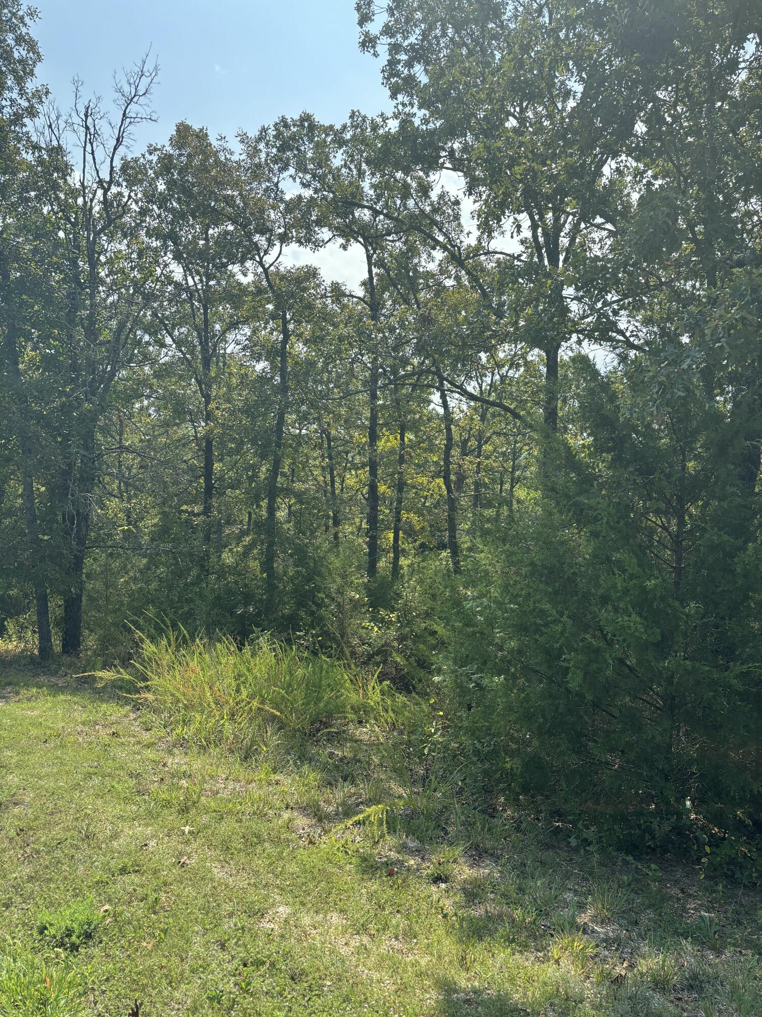 Photo 3 - Land for sale – Lot #3  Fox Hollow   Branson West, MO