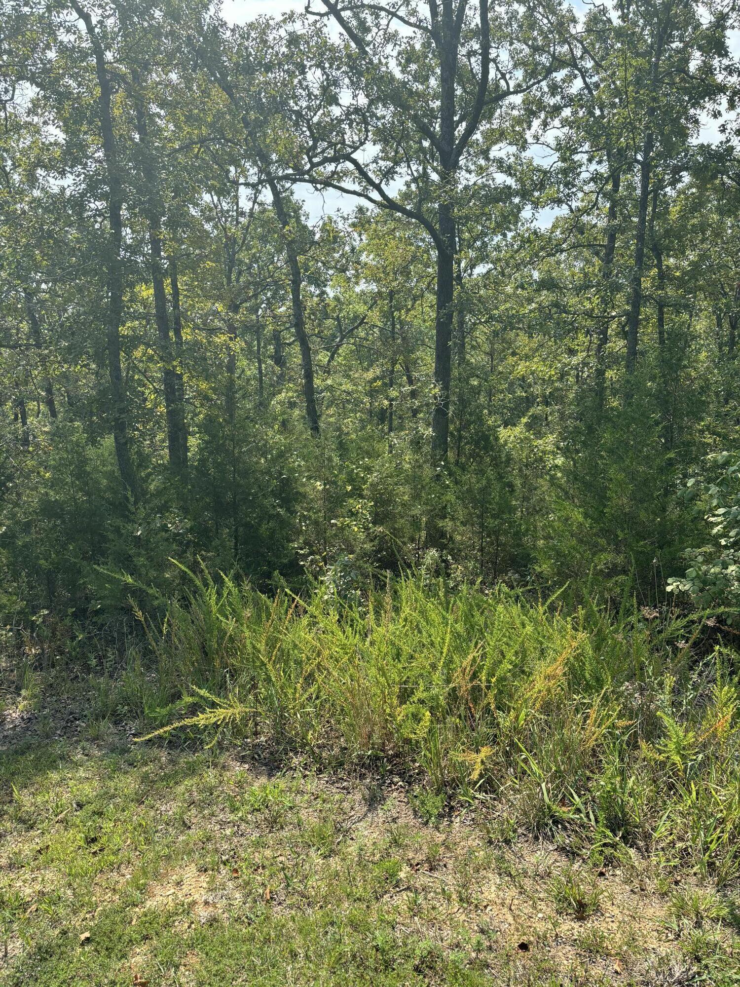 Land for sale – Lot #3  Fox Hollow   Branson West, MO