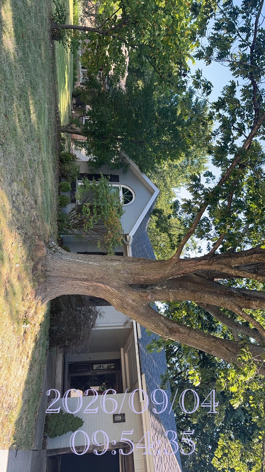 Photo 9 - Residential for sale – 5670 S Jefferson Avenue  Springfield, MO