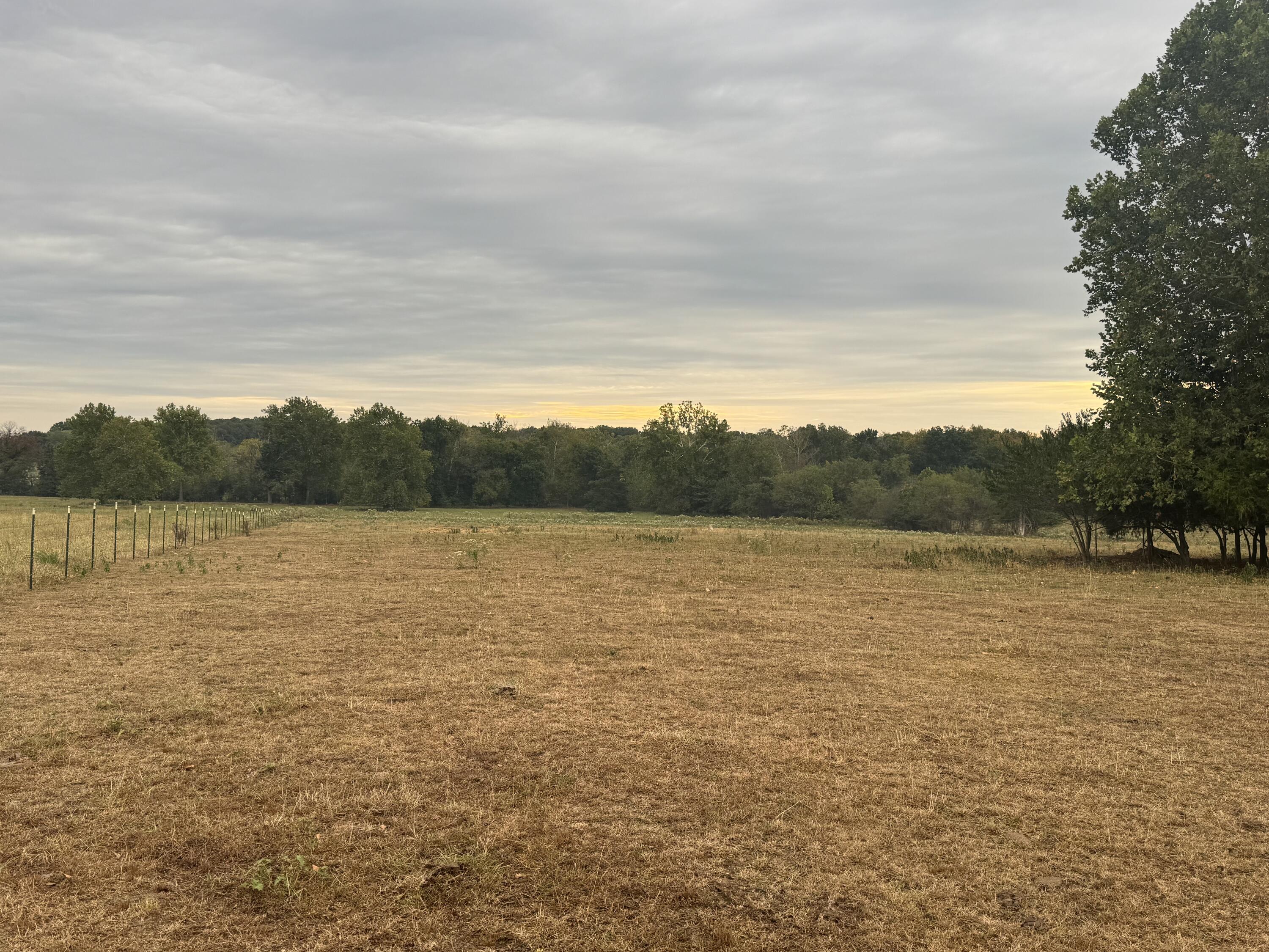 Photo 12 - Land for sale – 4452 S 70th Road  Bolivar, MO