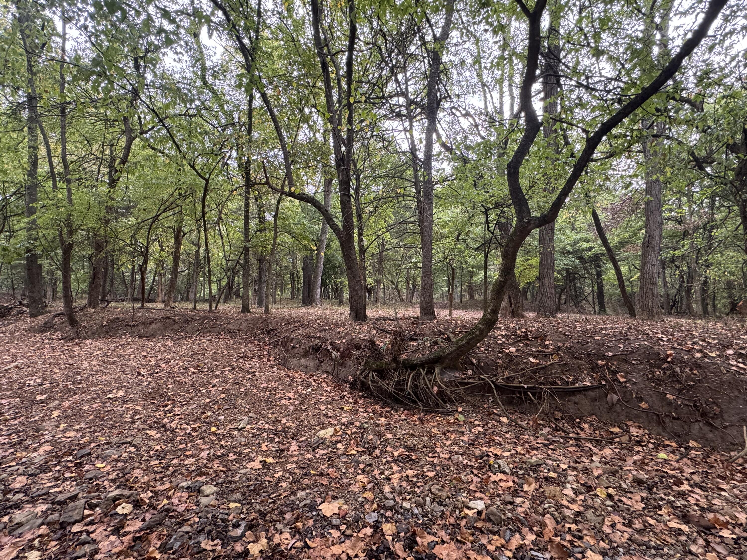 Photo 23 - Land for sale – 4452 S 70th Road  Bolivar, MO