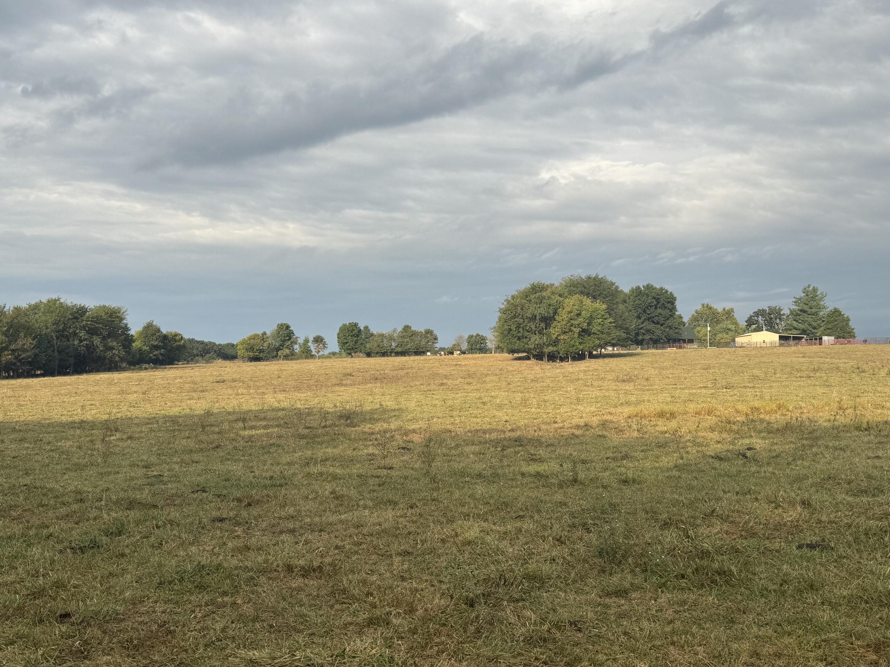 Photo 34 - Land for sale – 4452 S 70th Road  Bolivar, MO
