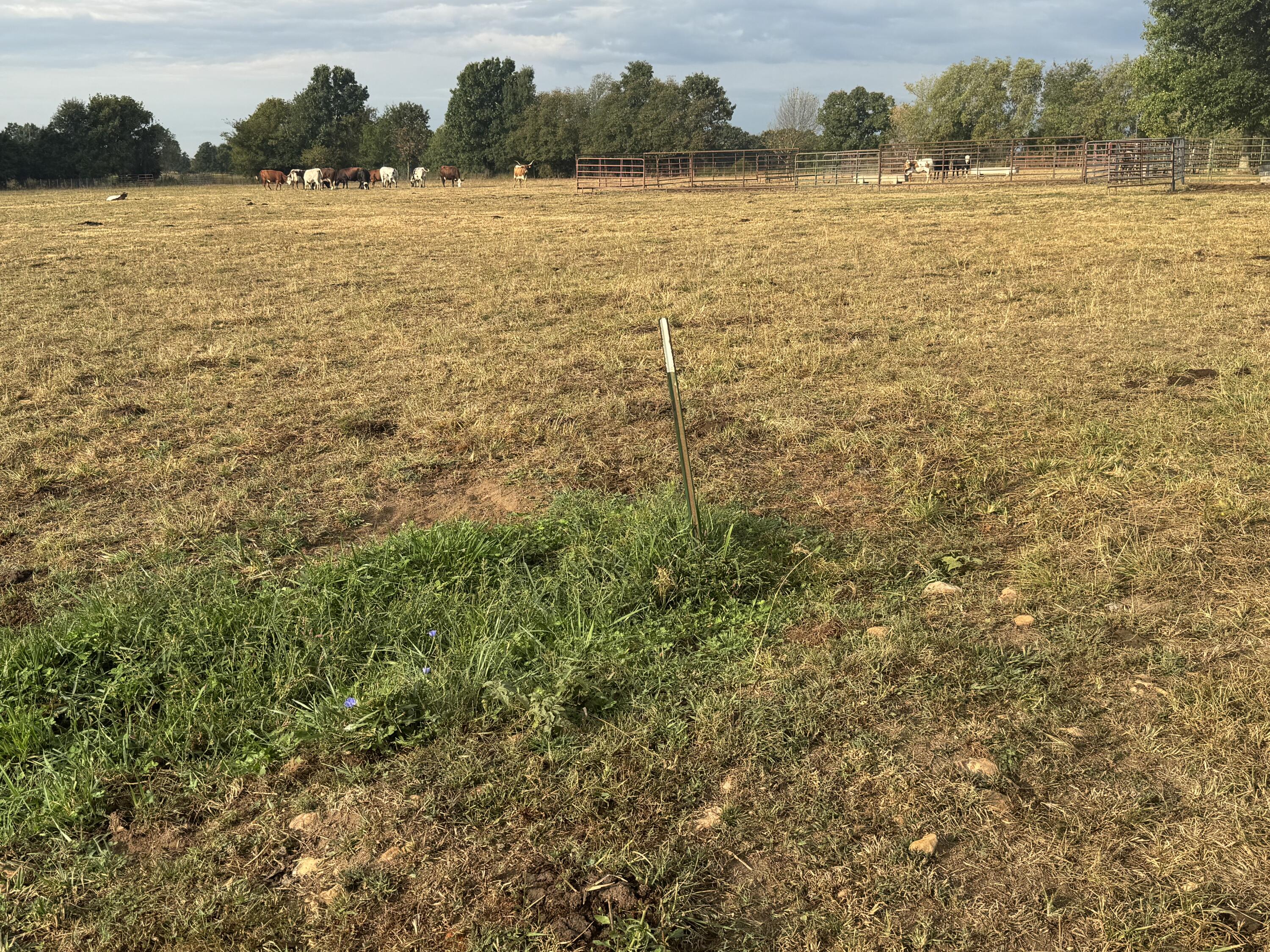 Photo 40 - Land for sale – 4452 S 70th Road  Bolivar, MO