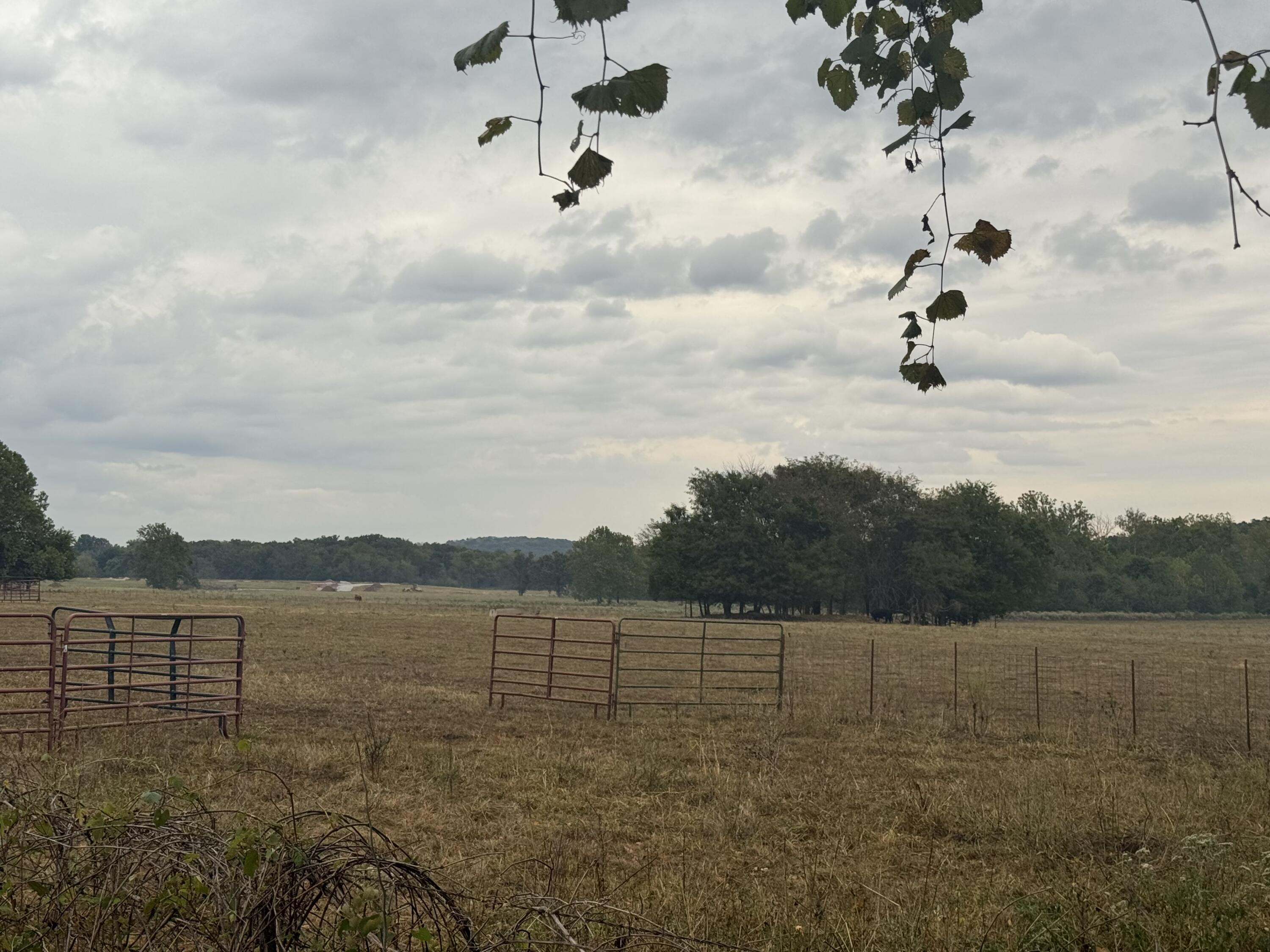 Photo 8 - Land for sale – 4452 S 70th Road  Bolivar, MO