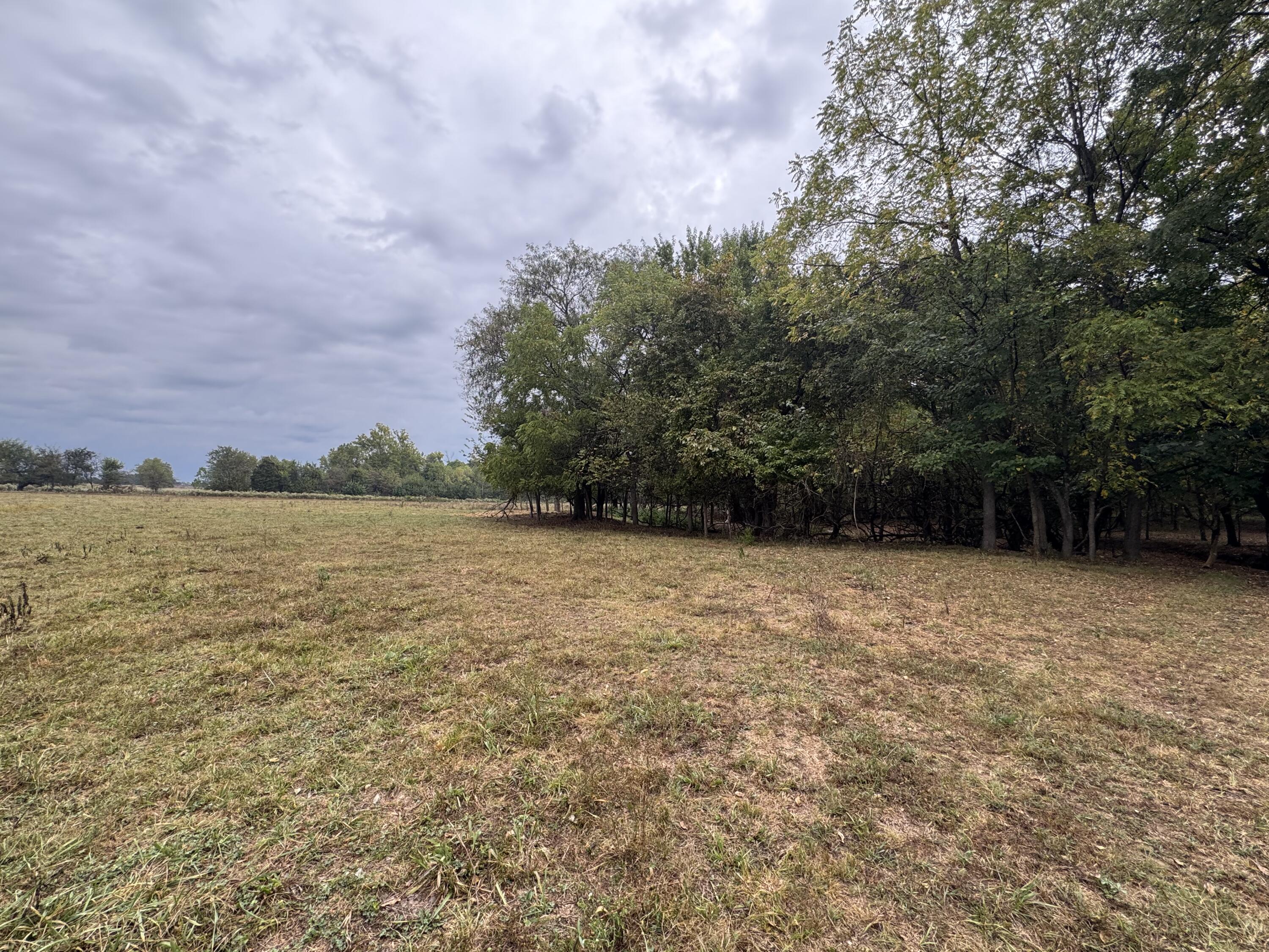 Photo 18 - Land for sale – 4452 S 70th Road  Bolivar, MO