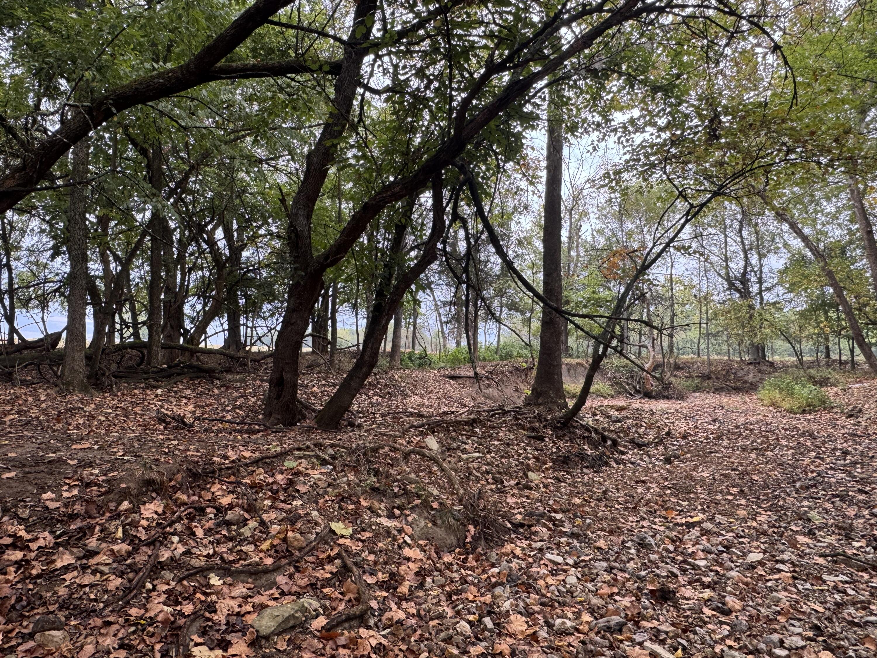 Photo 28 - Land for sale – 4452 S 70th Road  Bolivar, MO